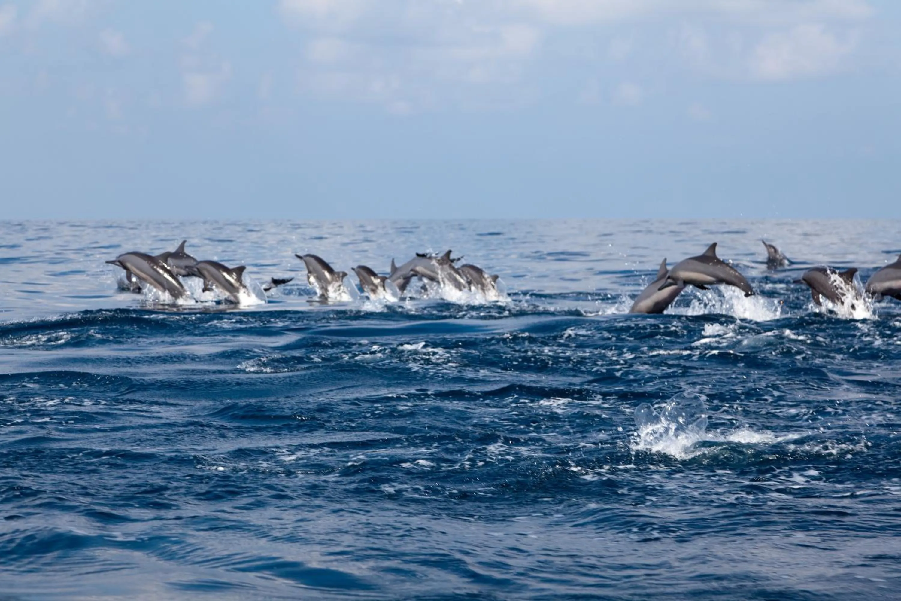 Other in Wellé Wadiya Beach Villa