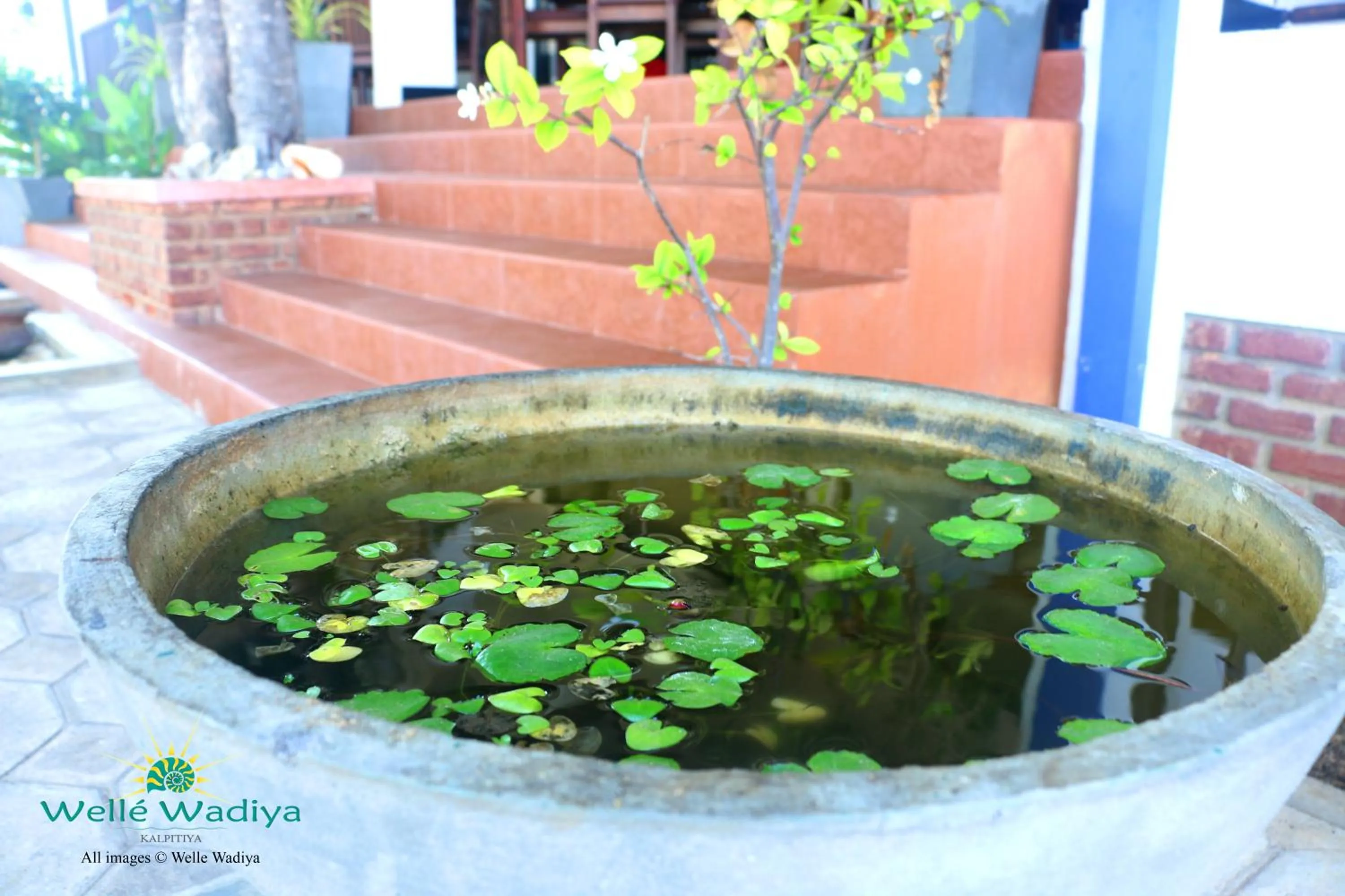 Garden in Wellé Wadiya Beach Villa