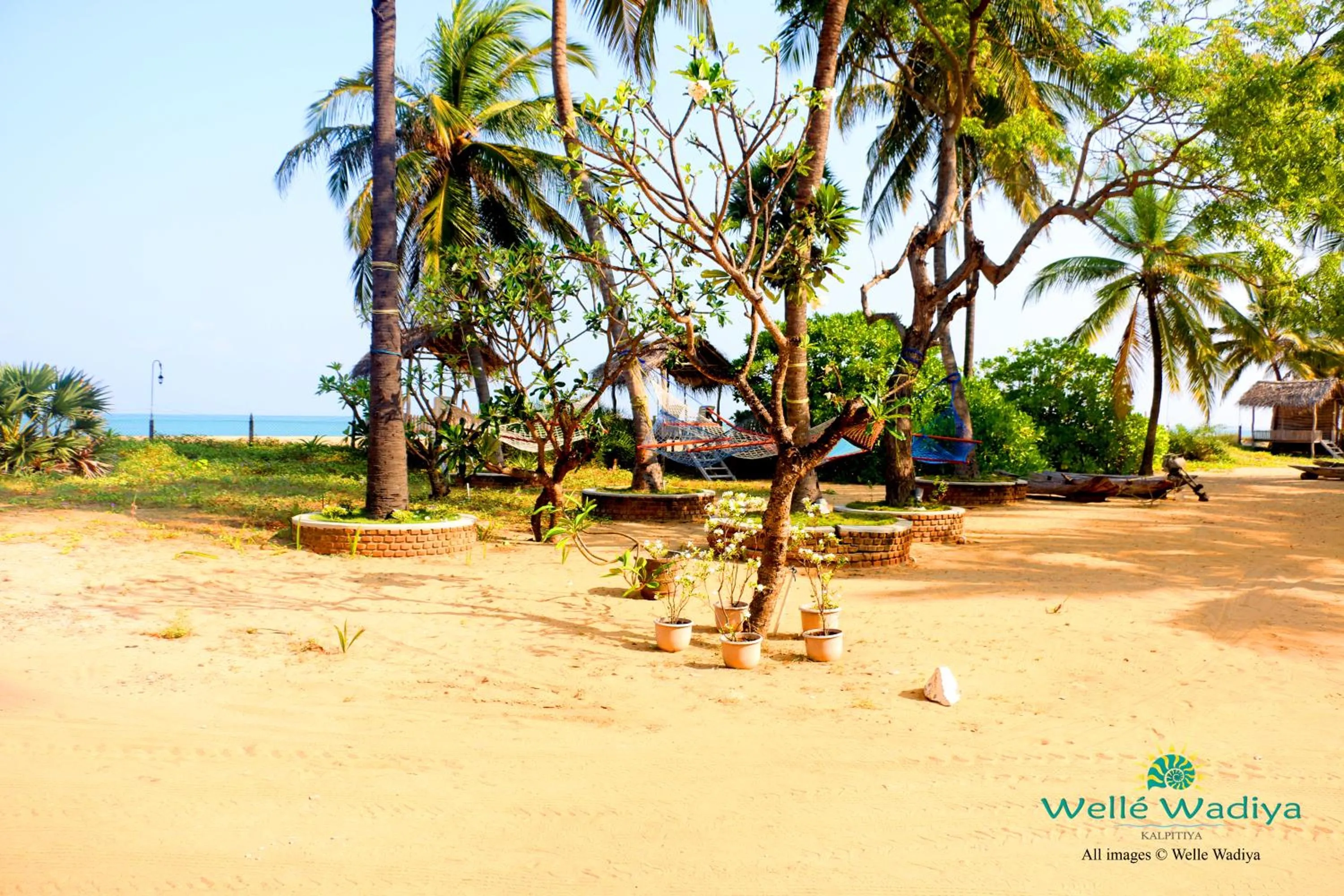Garden in Wellé Wadiya Beach Villa