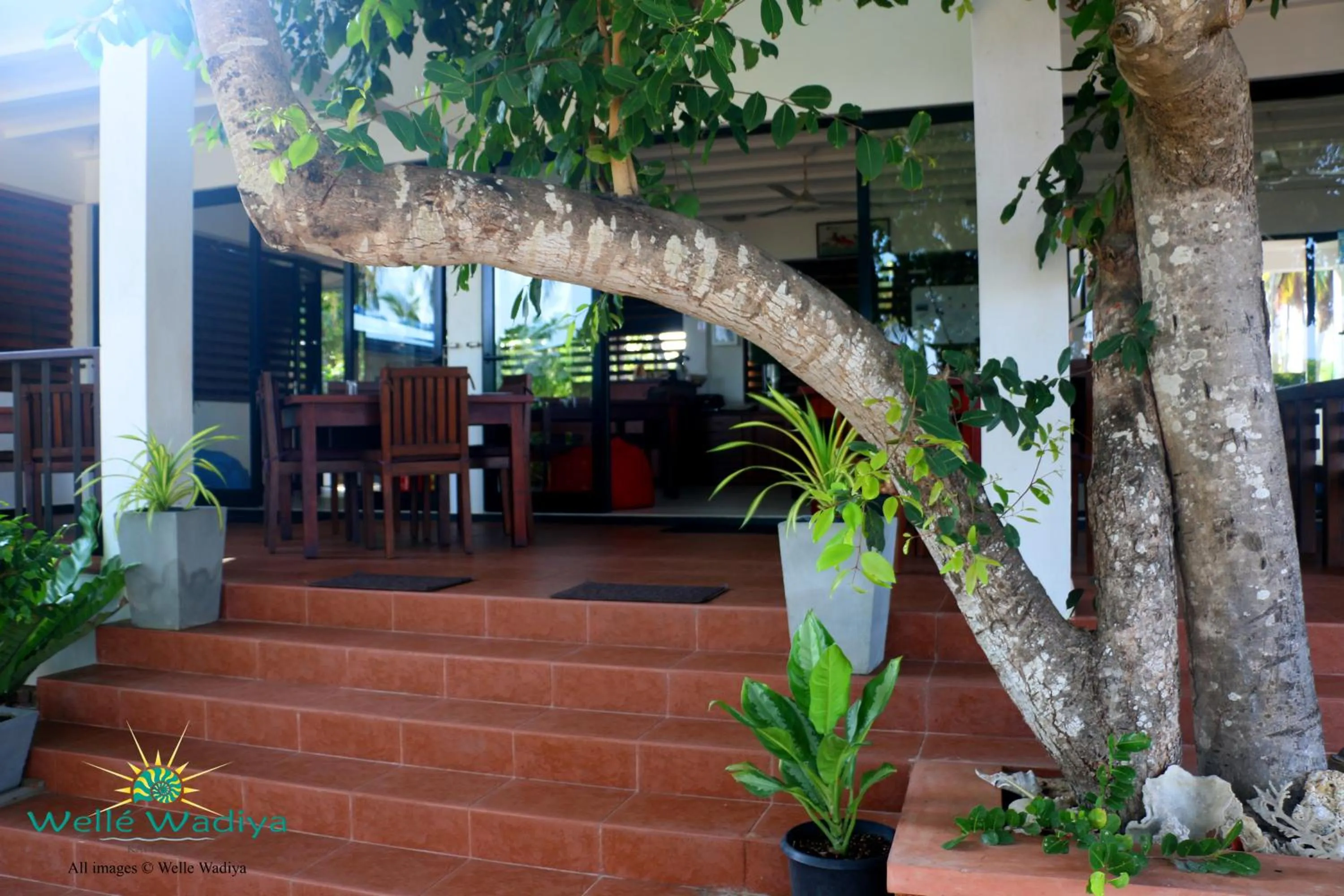 Balcony/Terrace in Wellé Wadiya Beach Villa