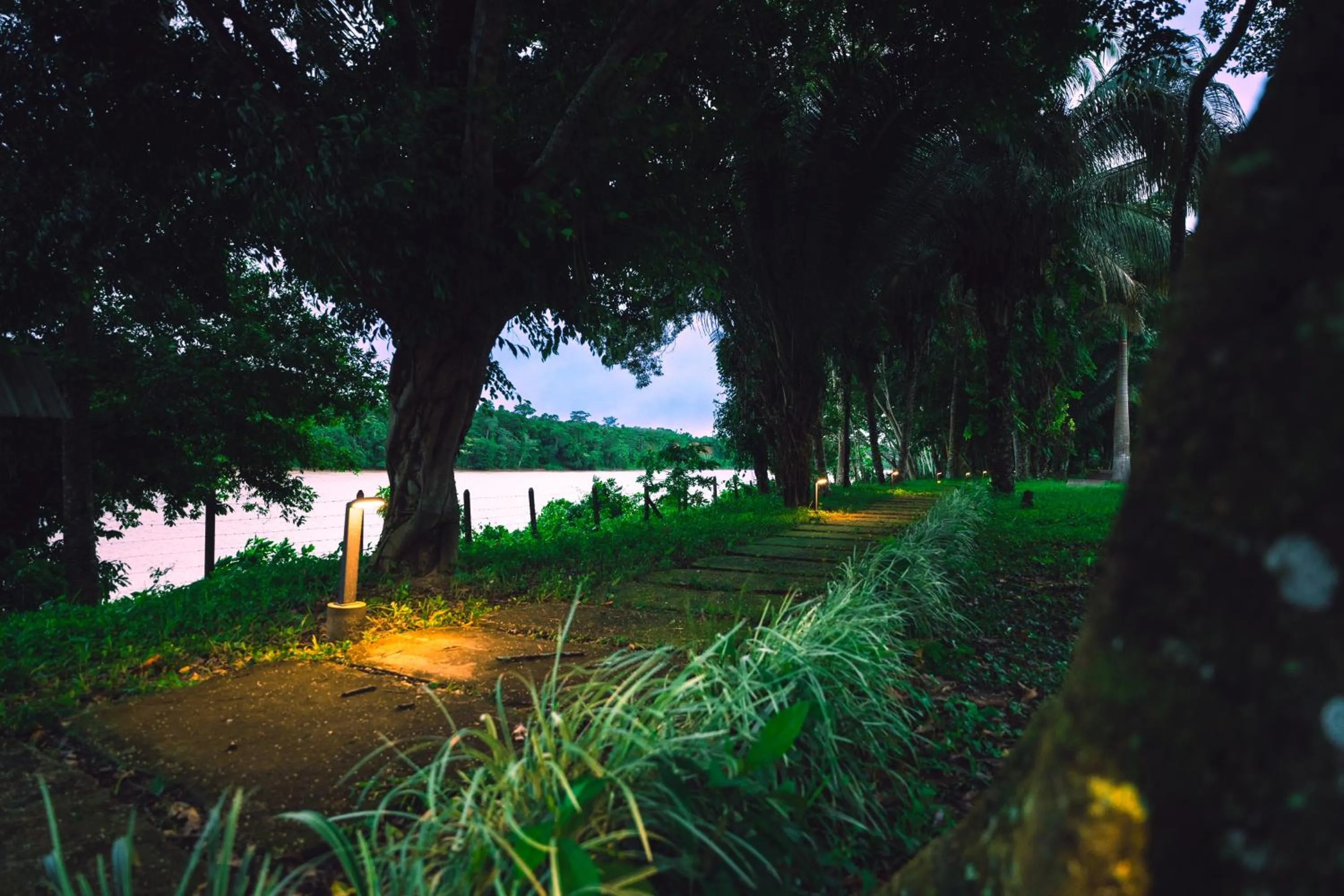 Activities in IKAM Riverview Amazon Lodge - Asociado Casa Andina