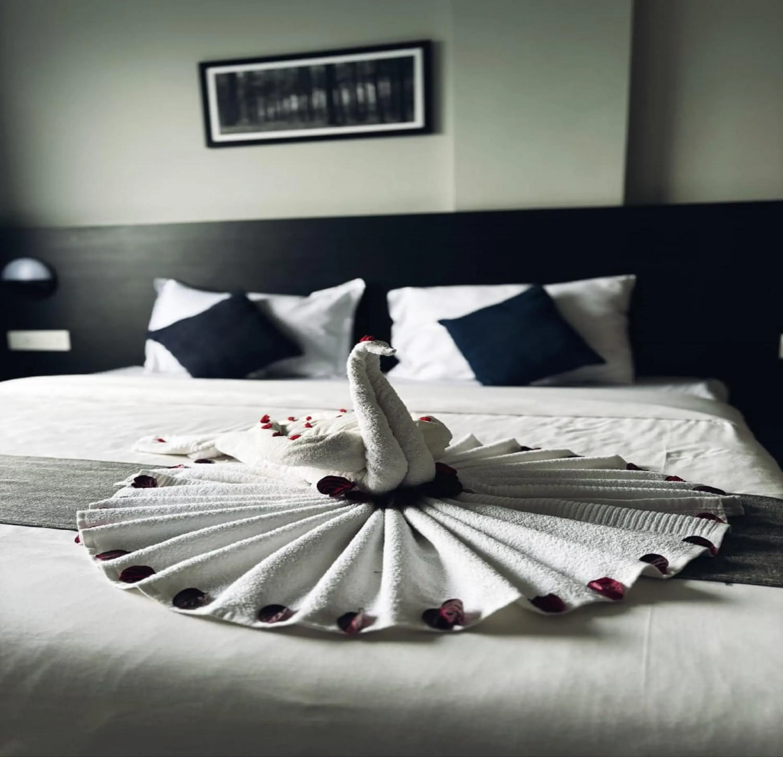 Bed in Mist View Bed in Mist View