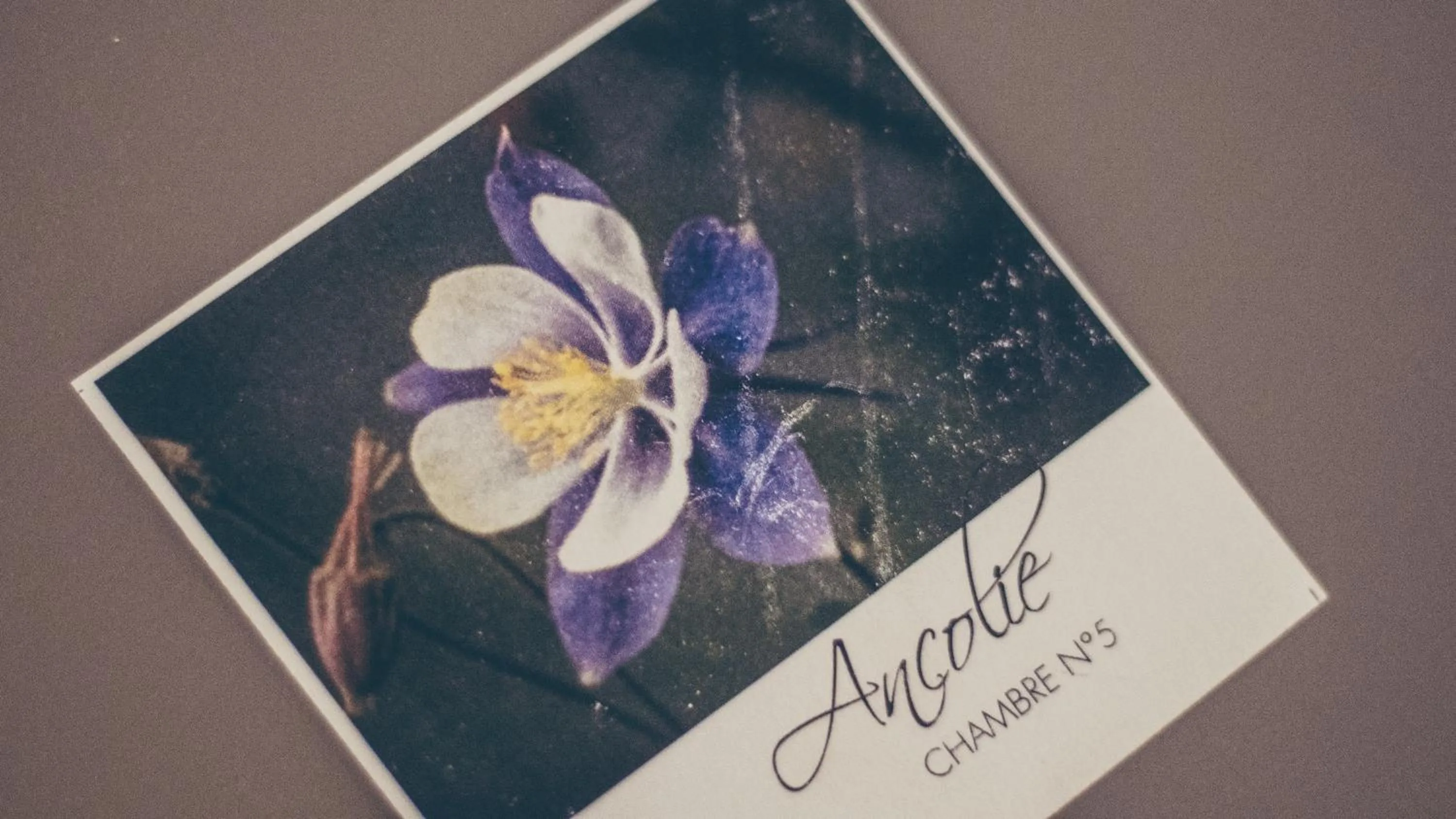 Decorative detail in Hôtel Flor'Alpes