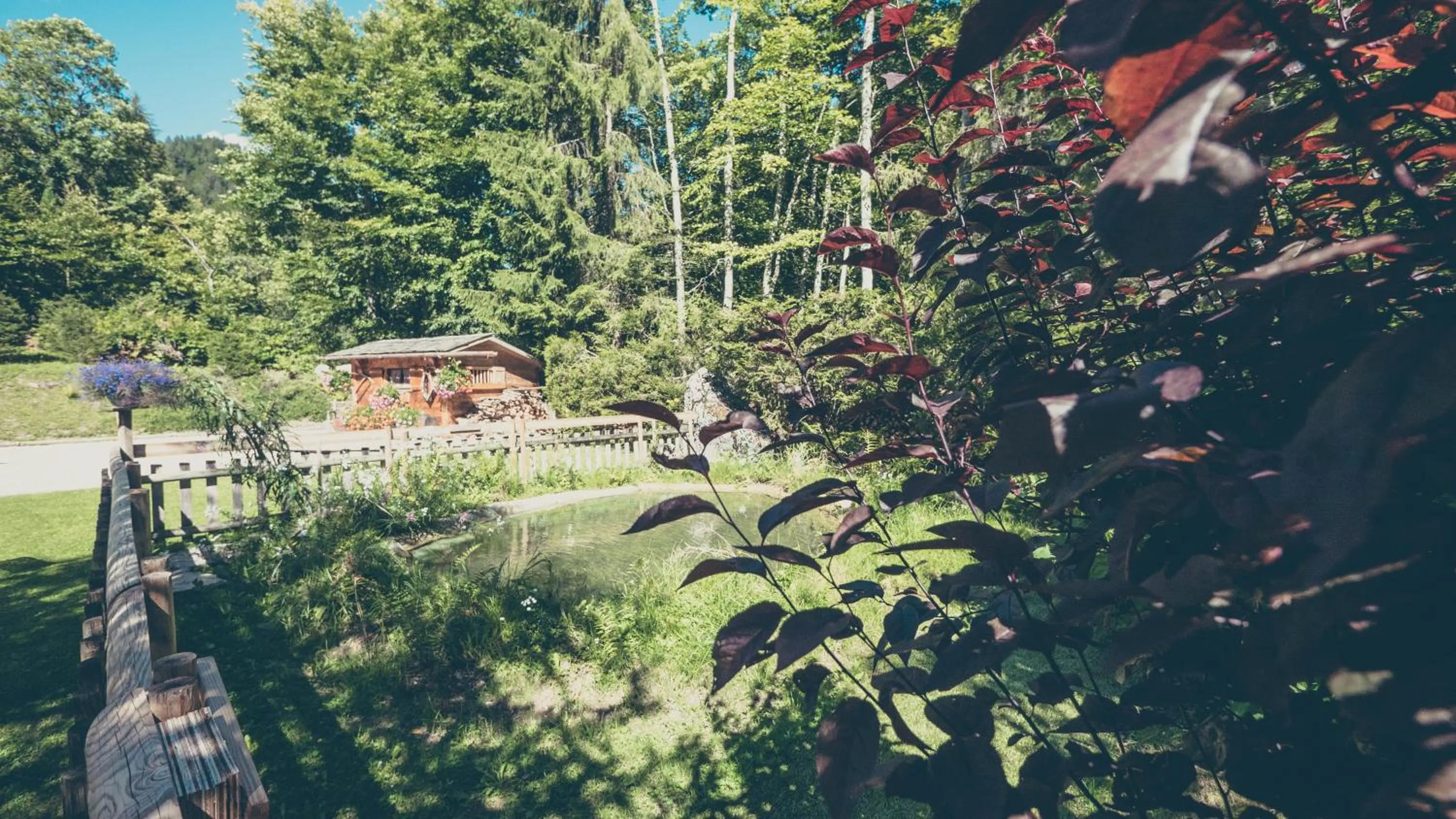Garden in Hôtel Flor'Alpes
