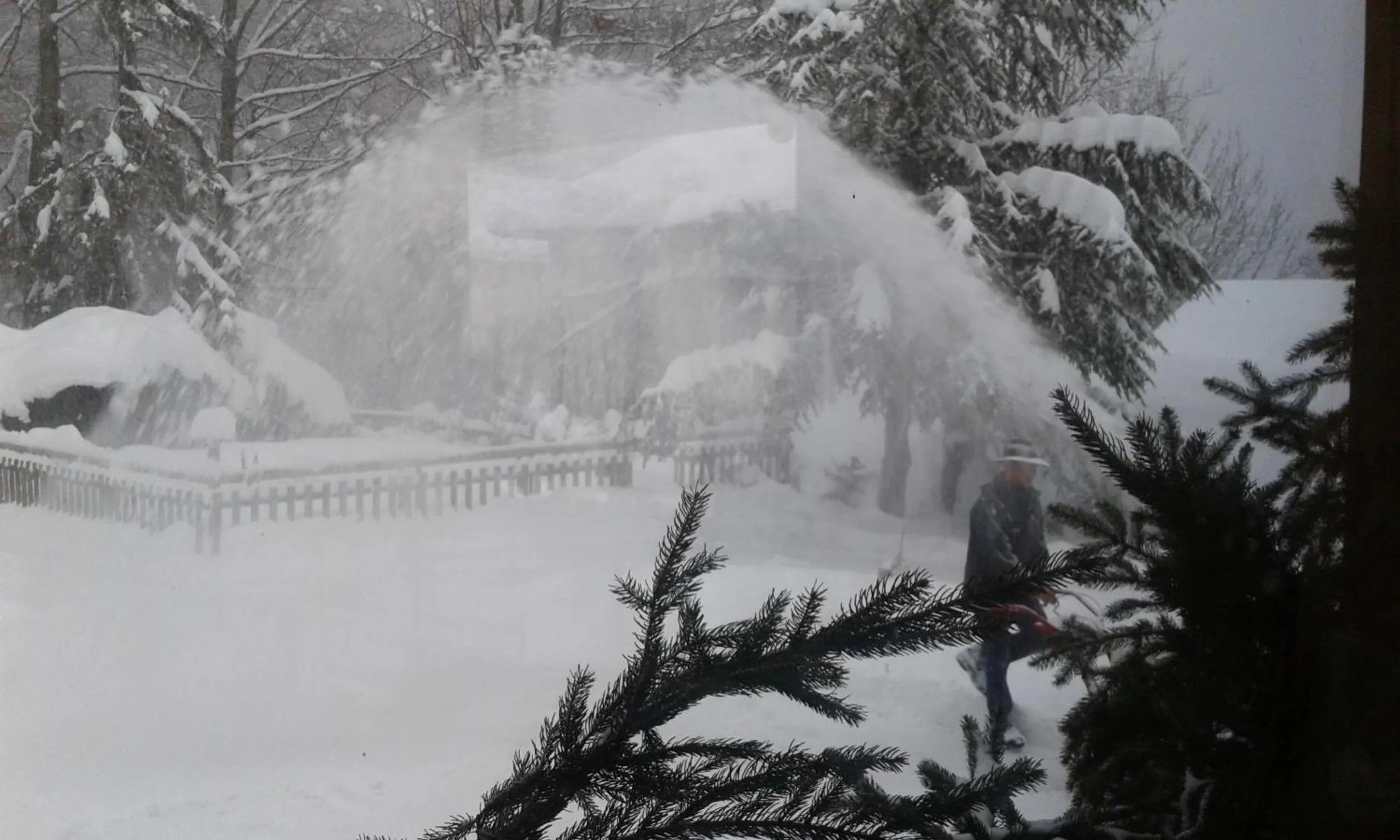Winter in Hôtel Flor'Alpes
