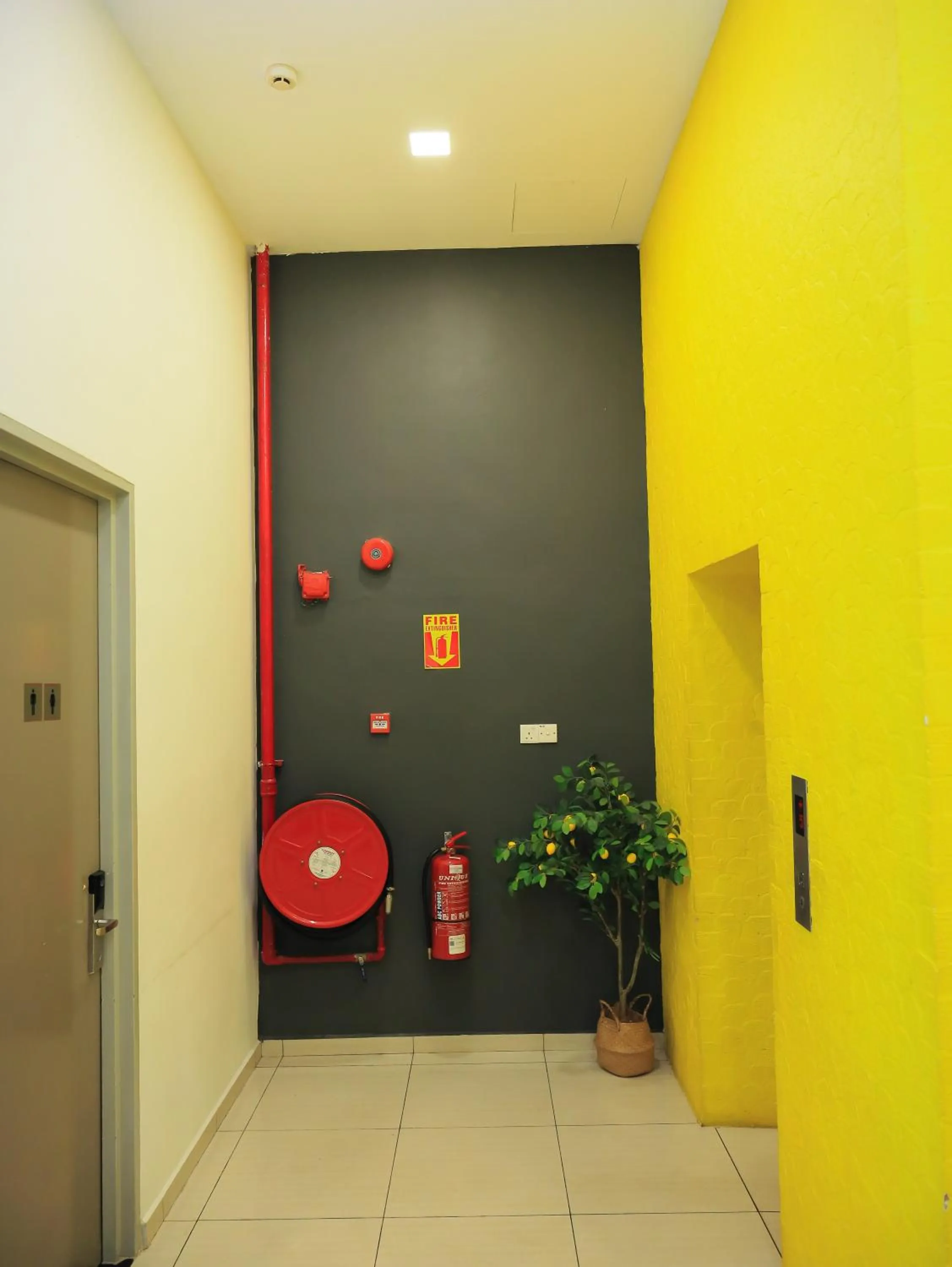 Lobby or reception in BIG TREE HOTEL