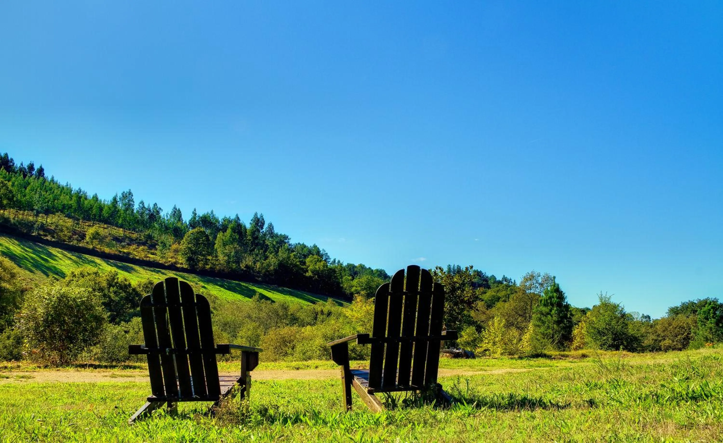 Natural landscape in Hotel Balneario Río Pambre