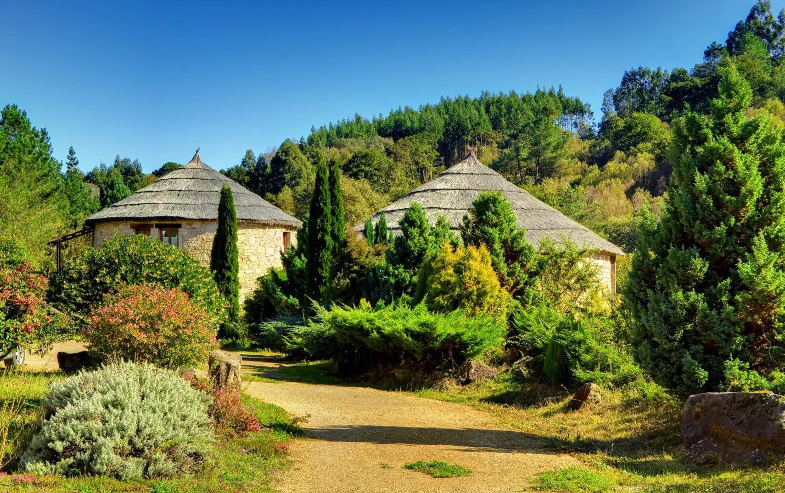 Double Room with Mountain View - single occupancy in Hotel Balneario Río Pambre Double Room with Mountain View - single occupancy in Hotel Balneario Río Pambre