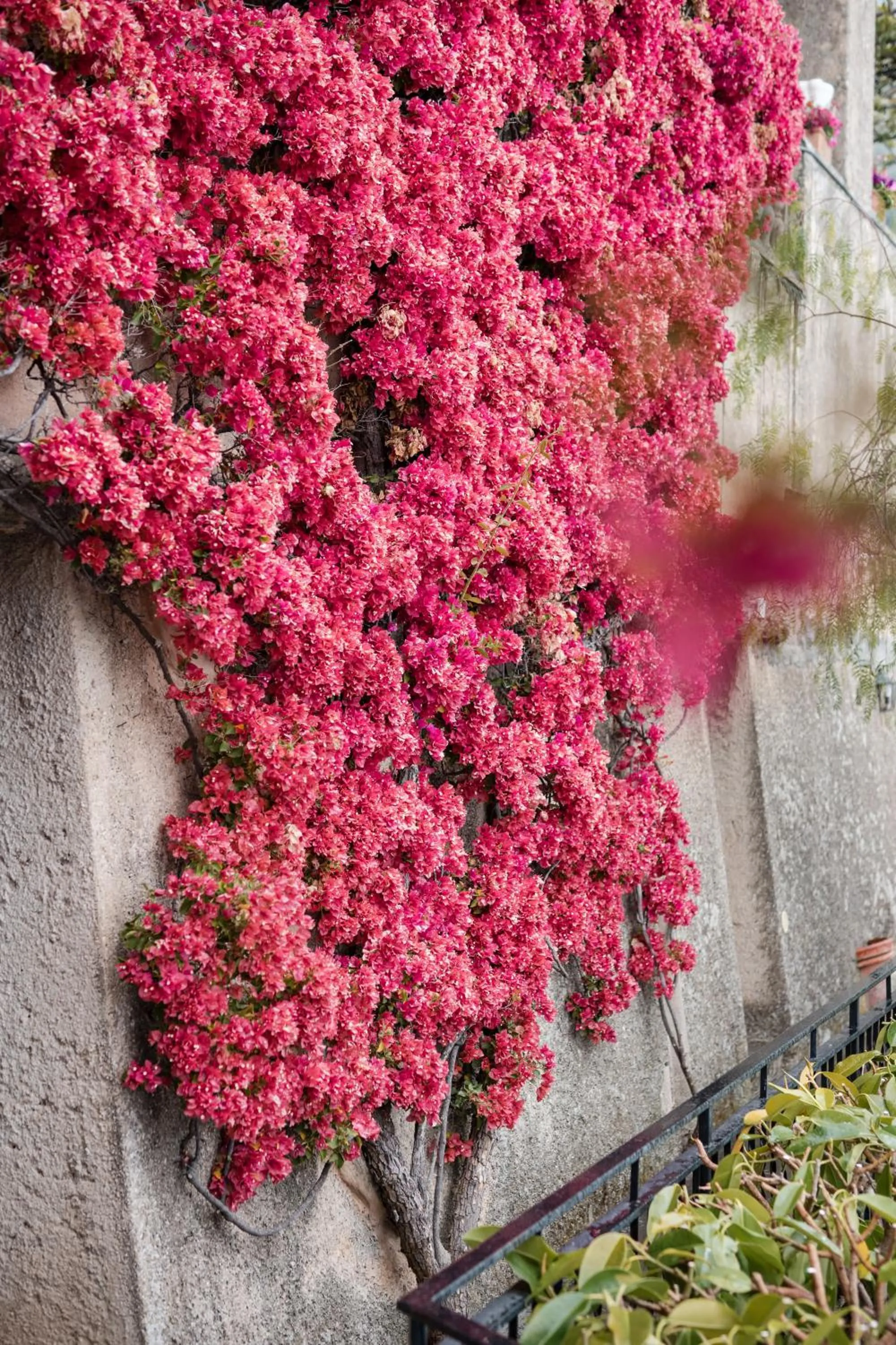Decorative detail in Villa Magia