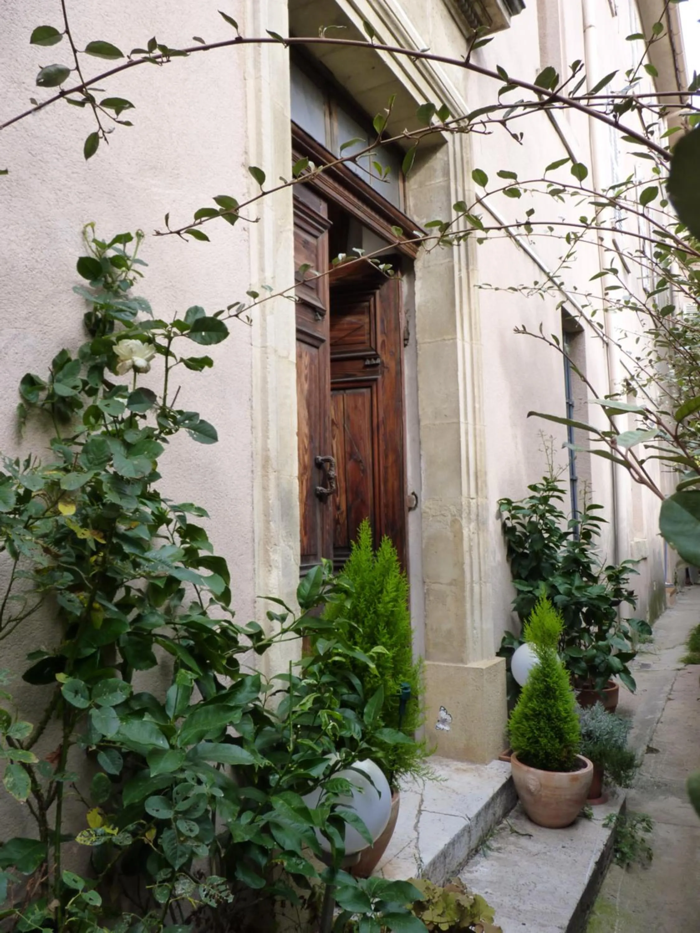 Facade/entrance in Le Couvent du Vieux Port