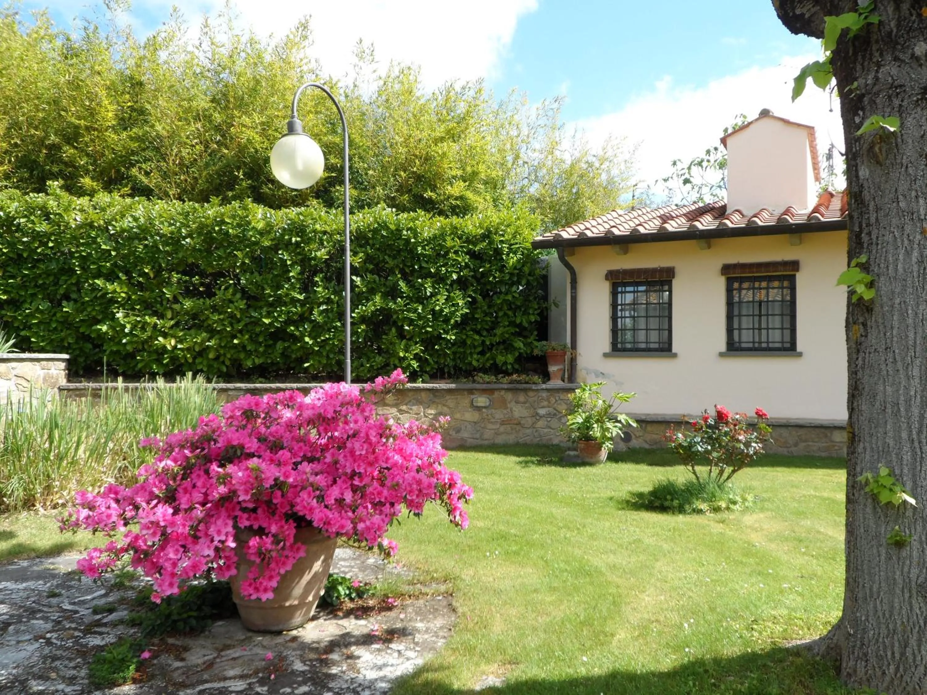 Garden in Villa Il Borraccio - Apartments Azalea and Begonia