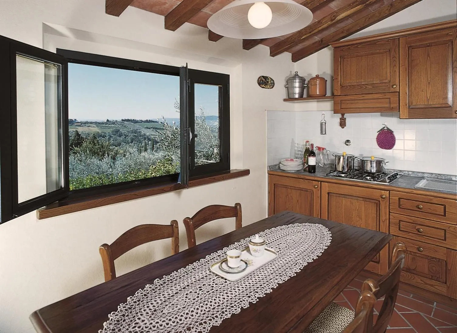 Kitchen or kitchenette in Villa Il Borraccio - Apartments Azalea and Begonia