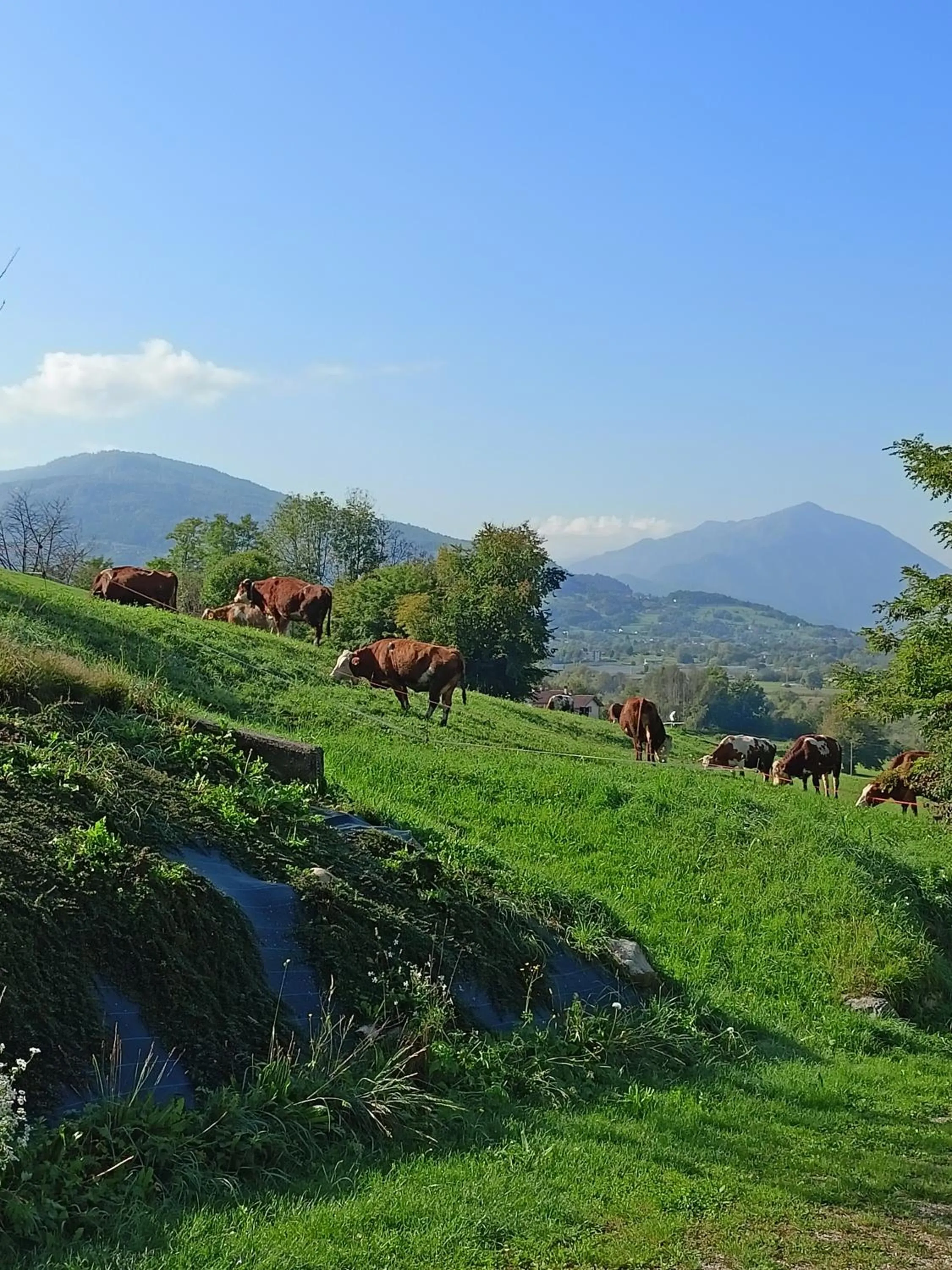 B&B Panorama Dolomiti