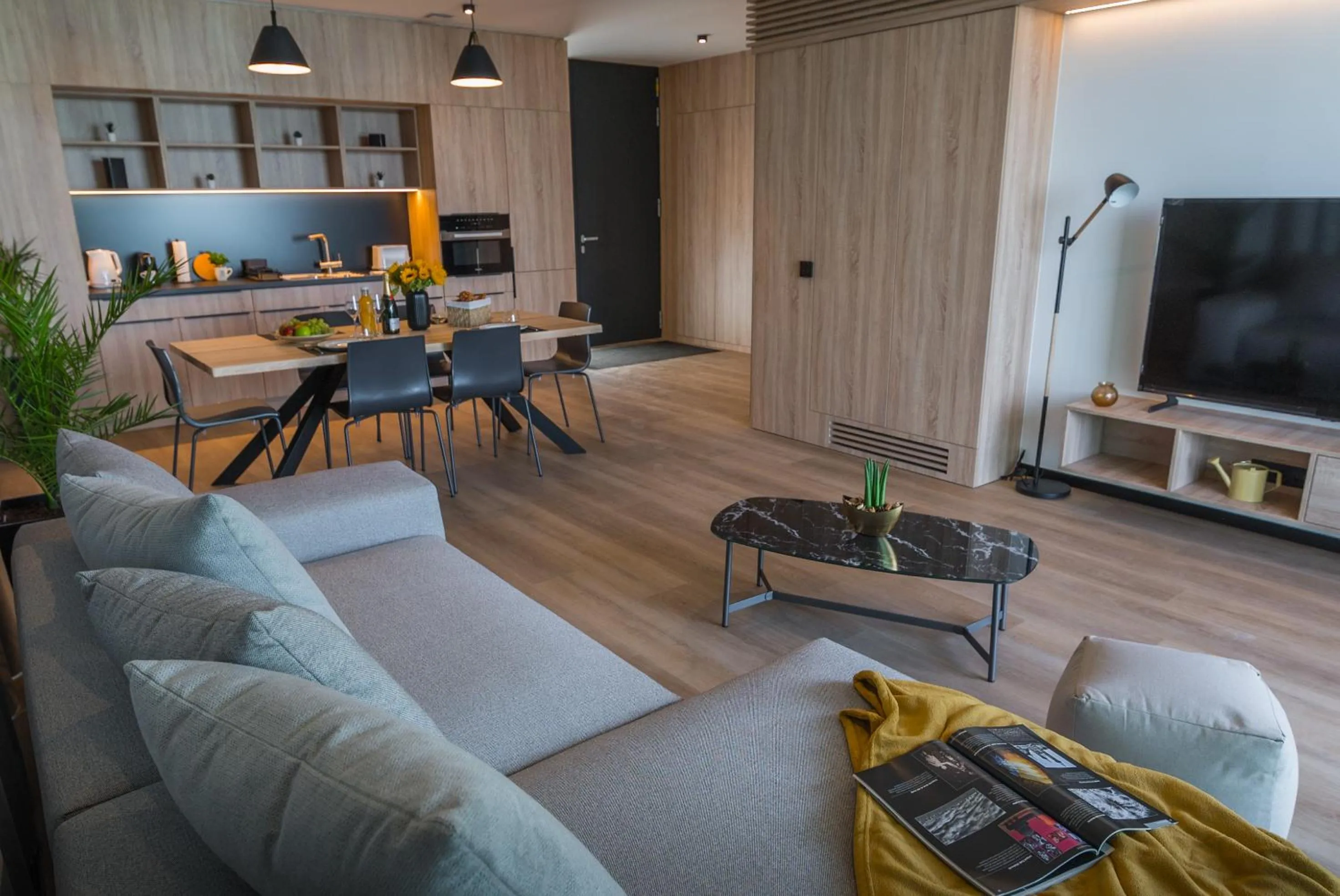 TV and multimedia in BJ81 Suite Hotel