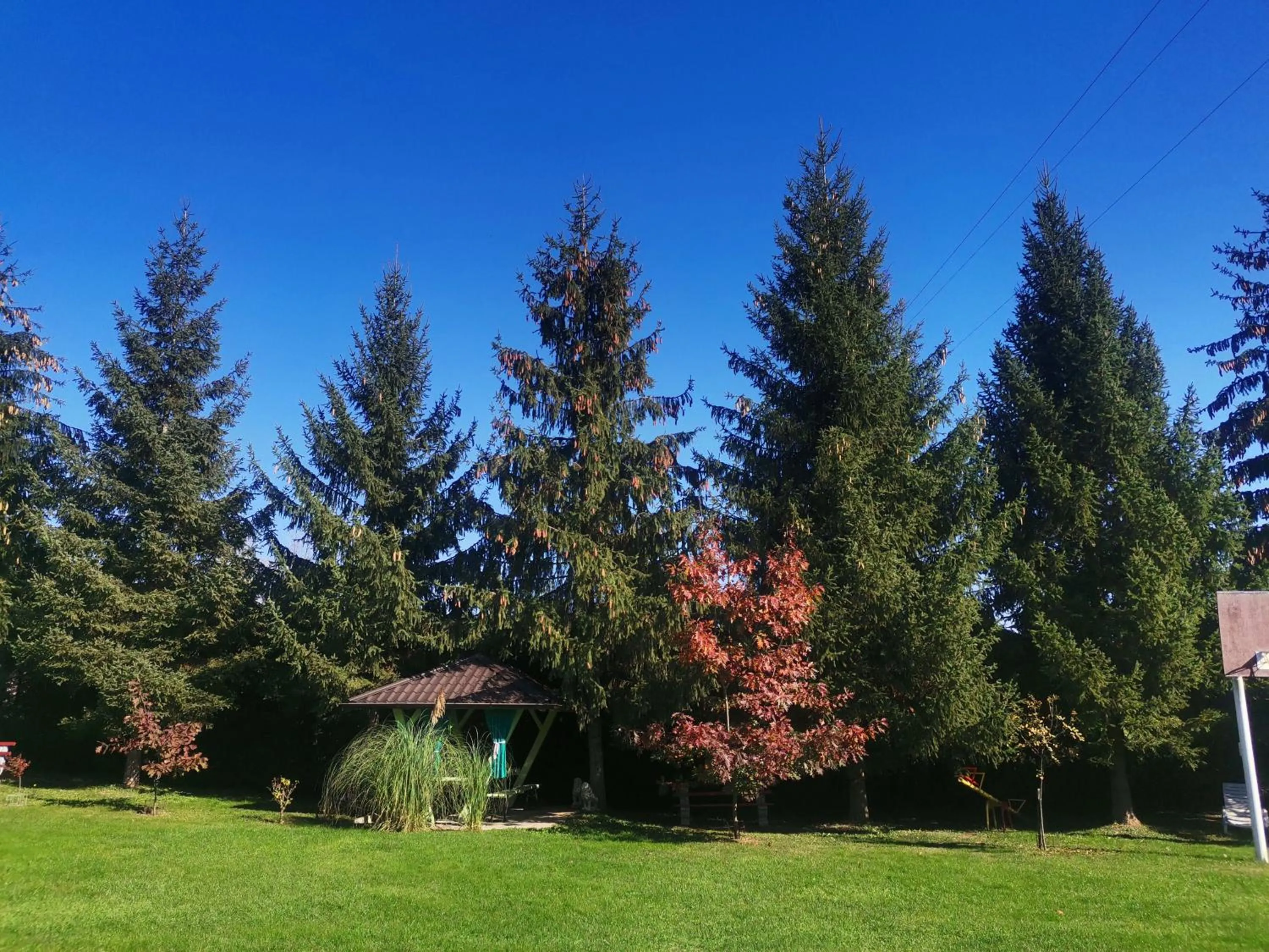 Garden in Resort Čokori