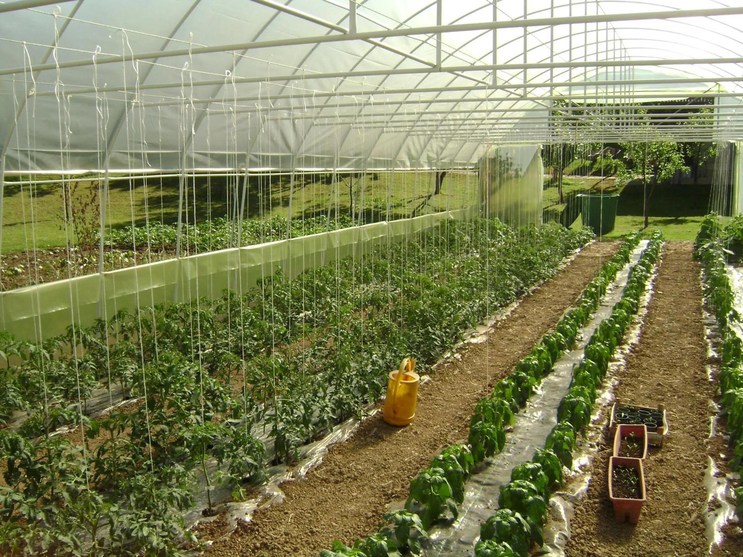 Garden in Resort Čokori