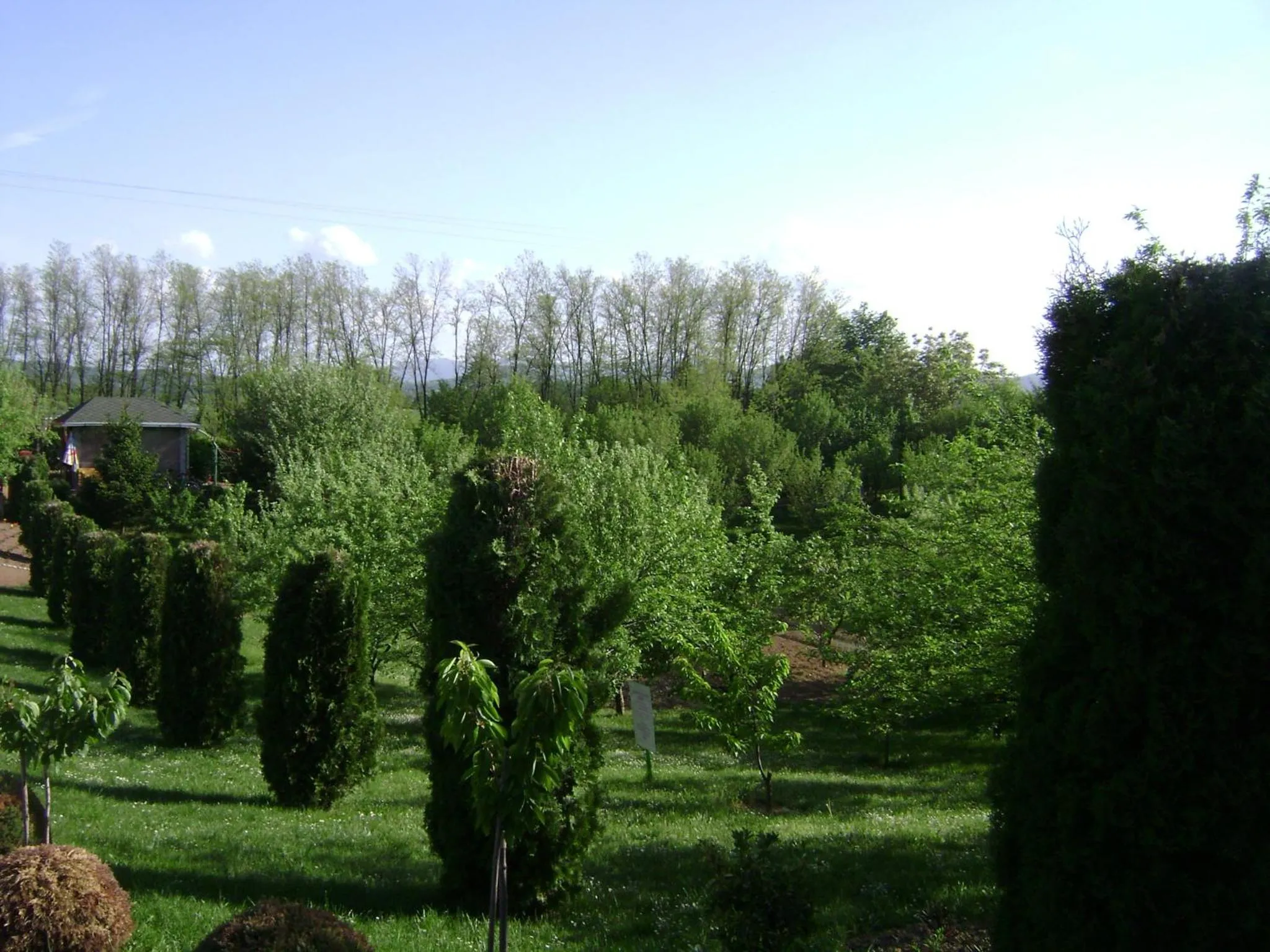 Garden in Resort Čokori