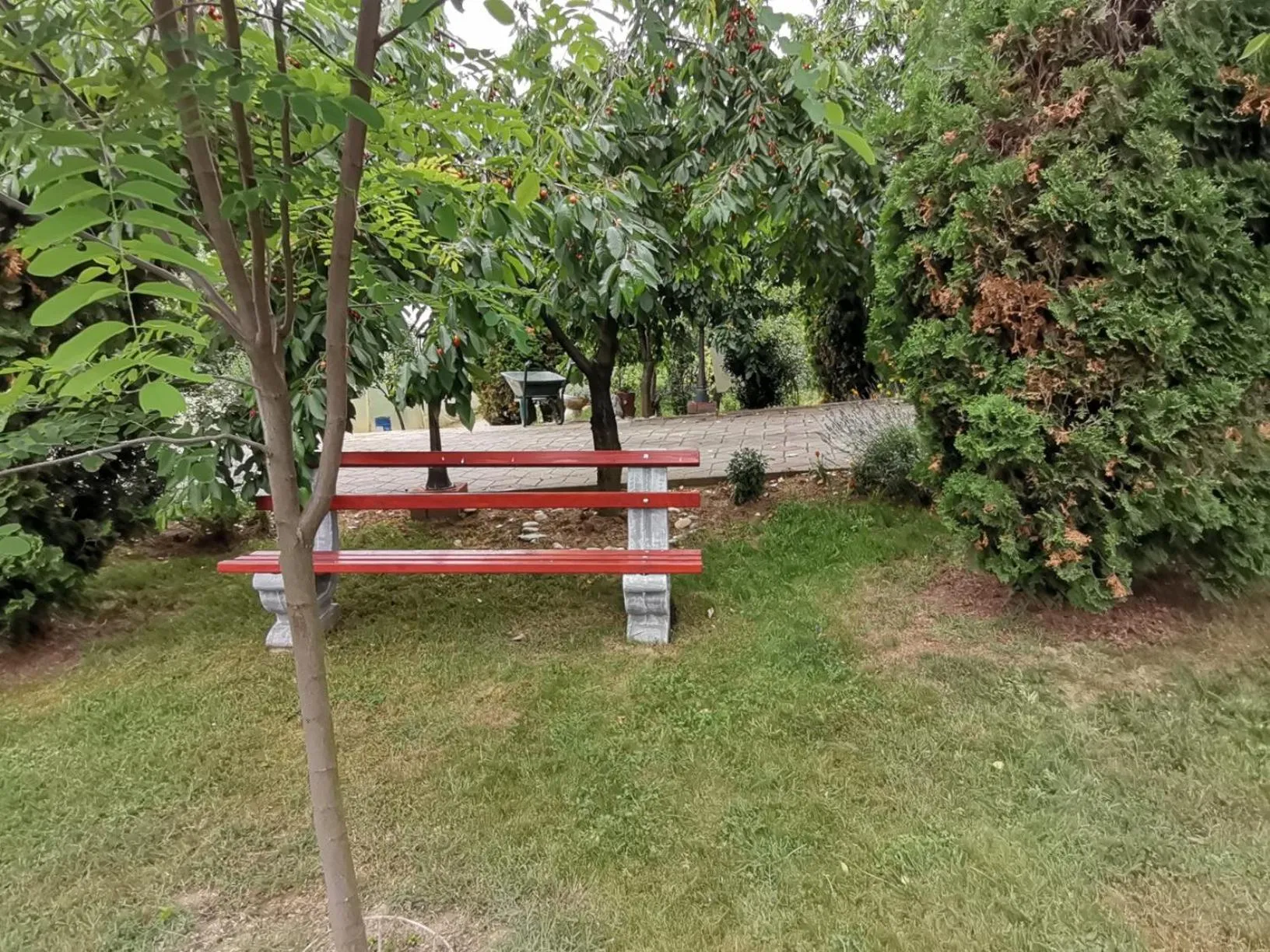 Garden in Resort Čokori