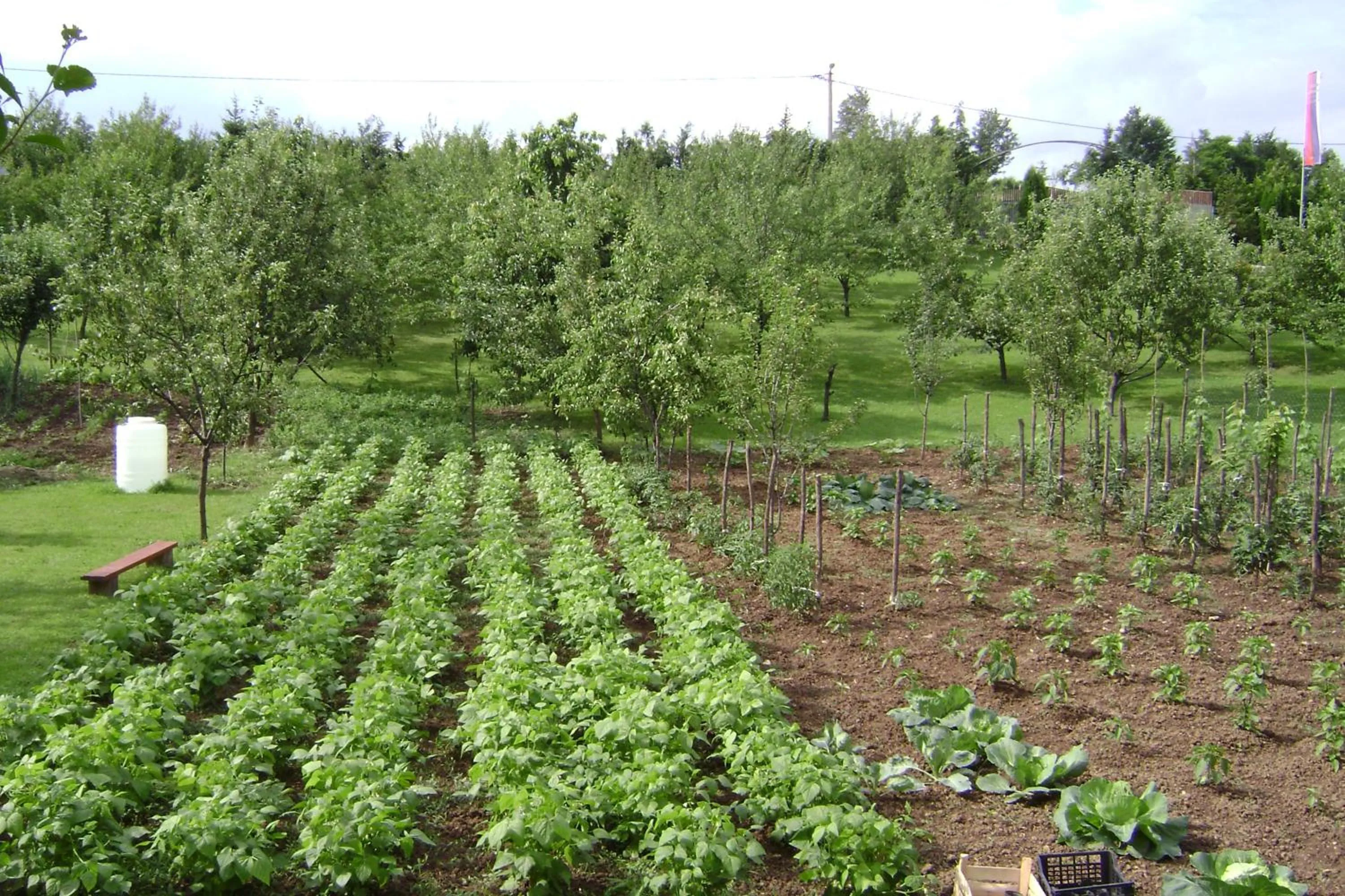 Garden in Resort Čokori