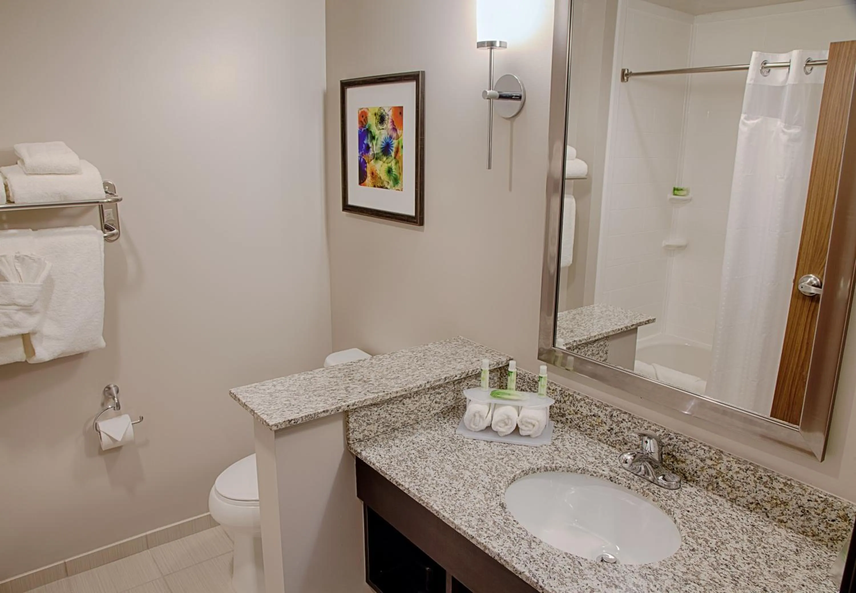 Bathroom in Holiday Inn Express and Suites Tahlequah by IHG