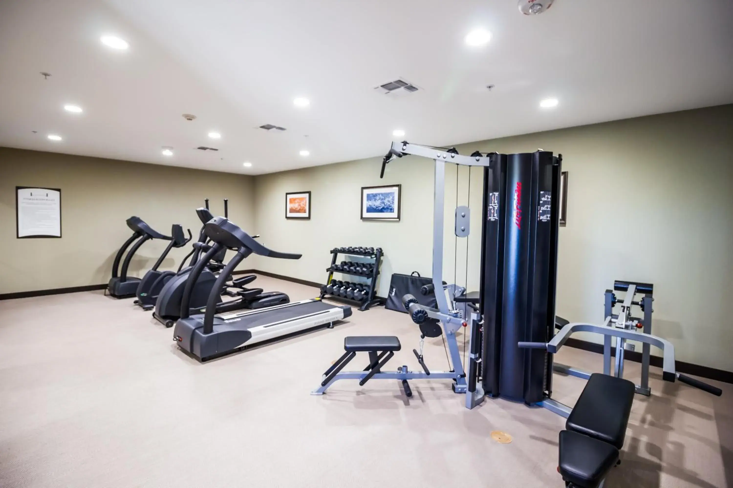 Fitness centre/facilities in Staybridge Suites Plano - Legacy West Area by IHG Fitness centre/facilities in Staybridge Suites Plano - Legacy West Area by IHG