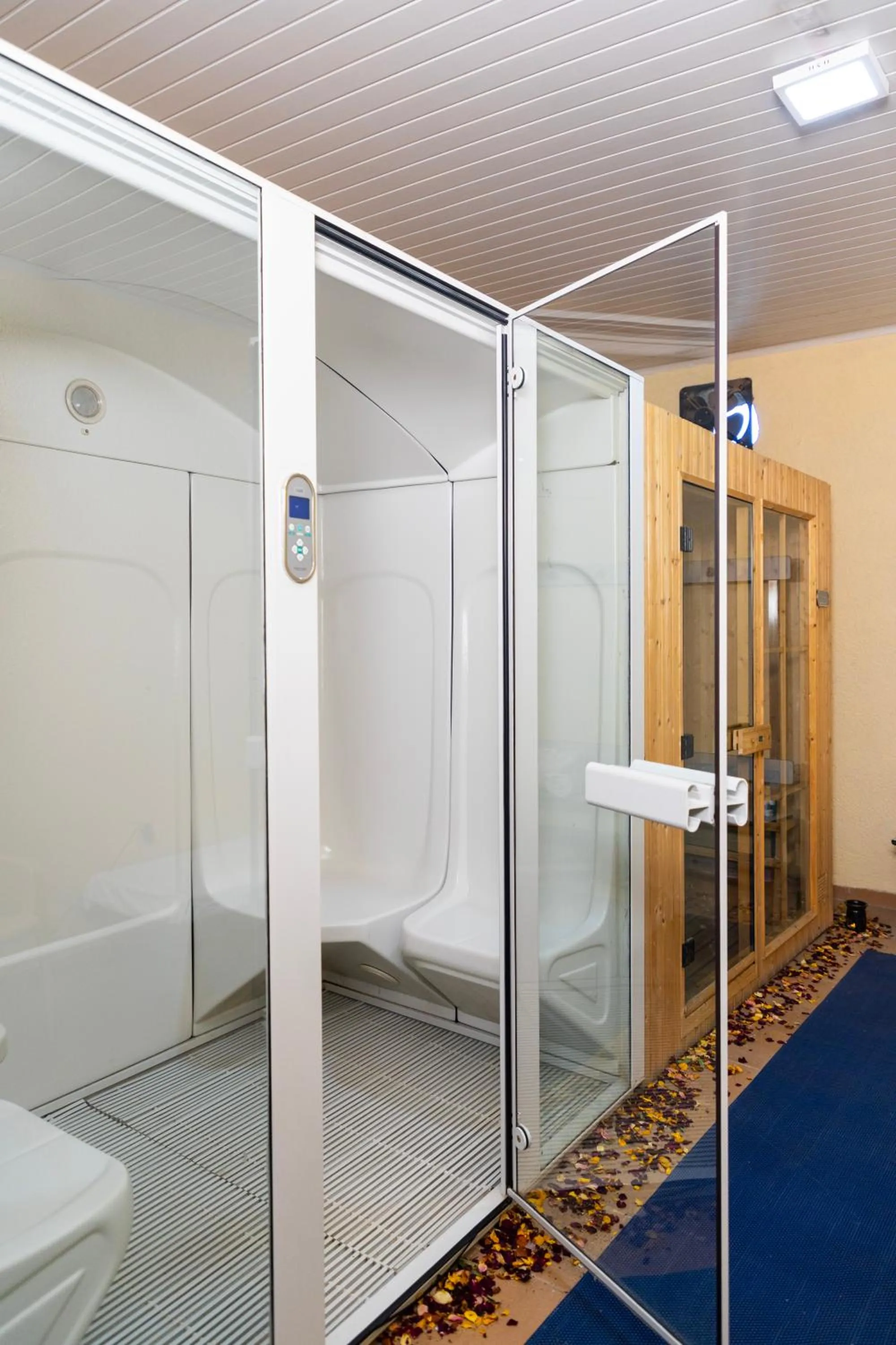 Sauna in Dreamliner Hotel