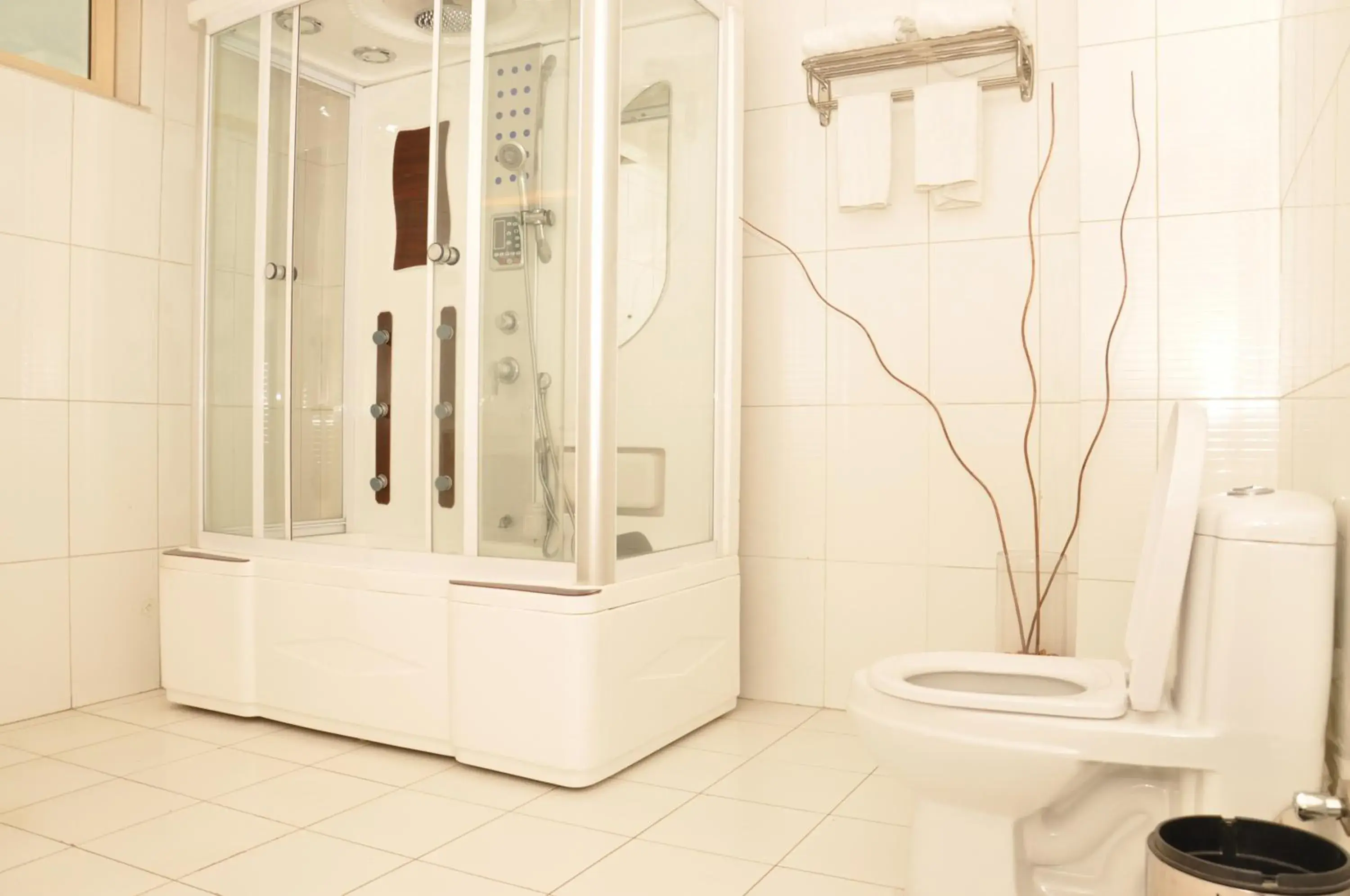 Bathroom in Dreamliner Hotel Bathroom in Dreamliner Hotel