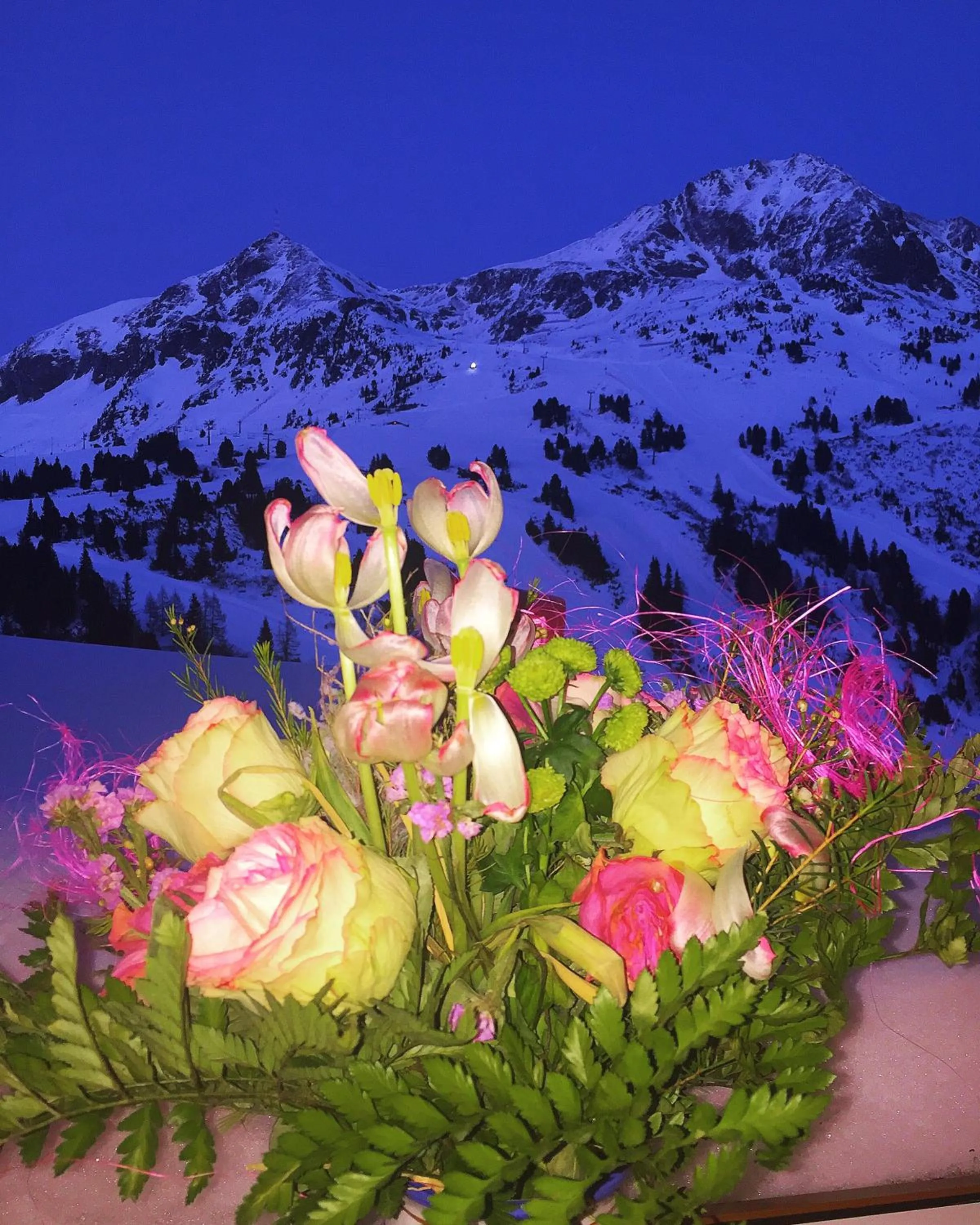 Mountain view in Andi's Skihotel