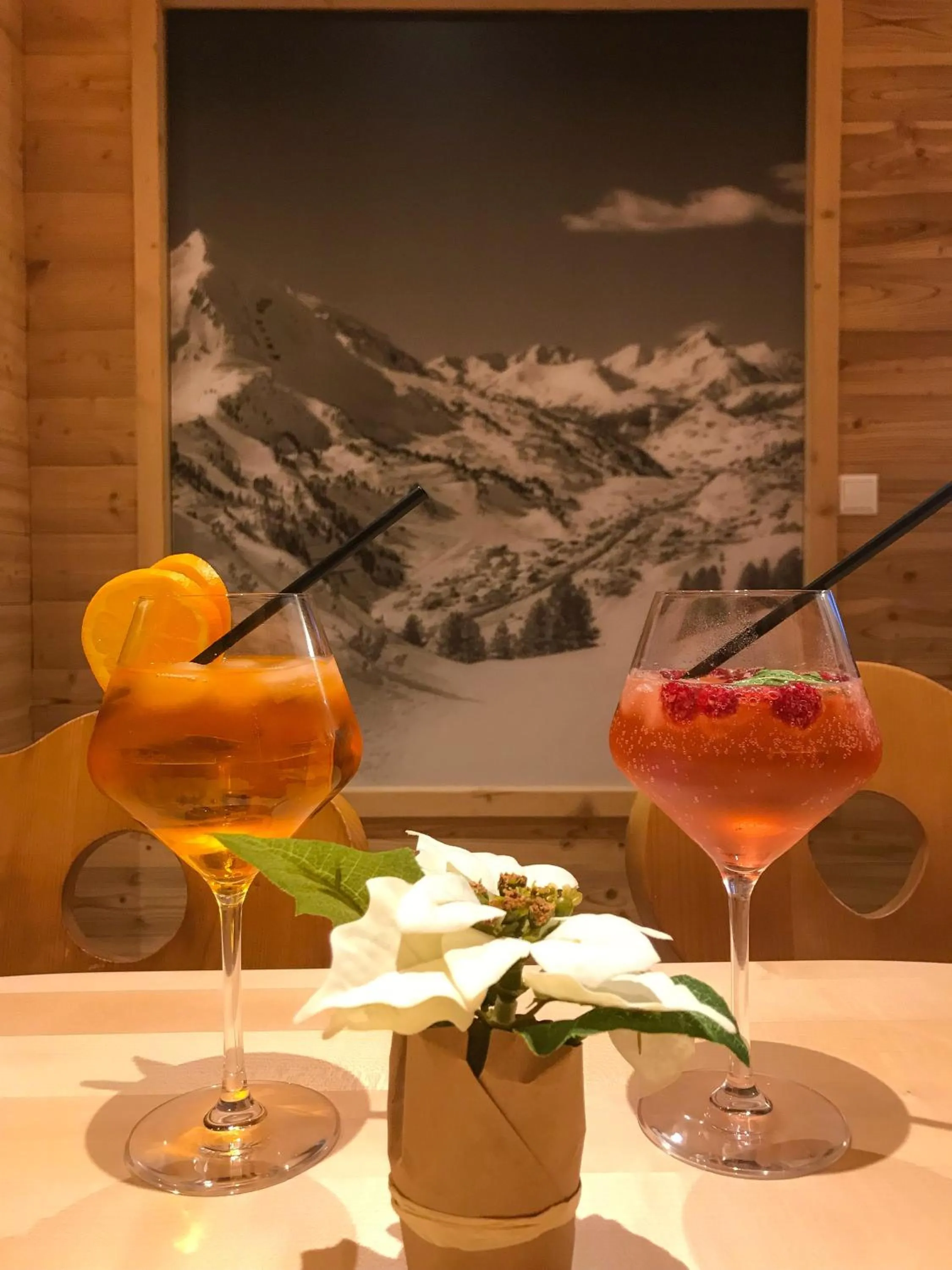 Alcoholic drinks in Andi's Skihotel