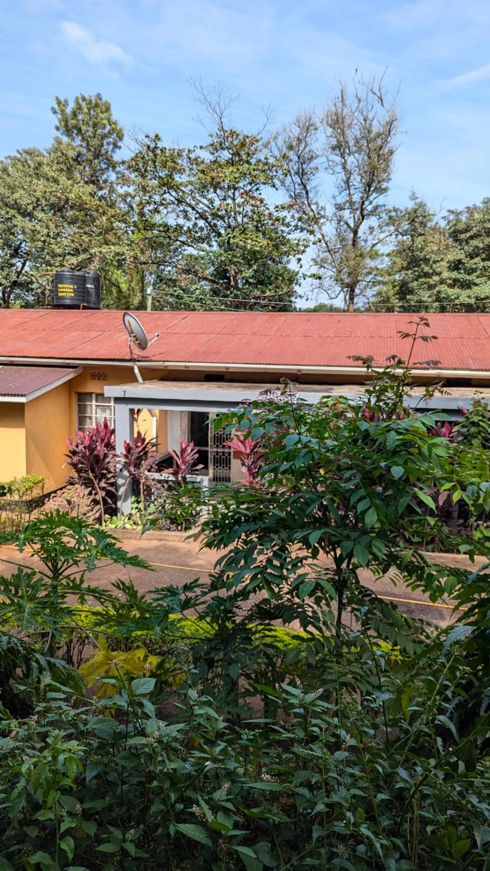 Property building in JACARANDA HOMESTAY