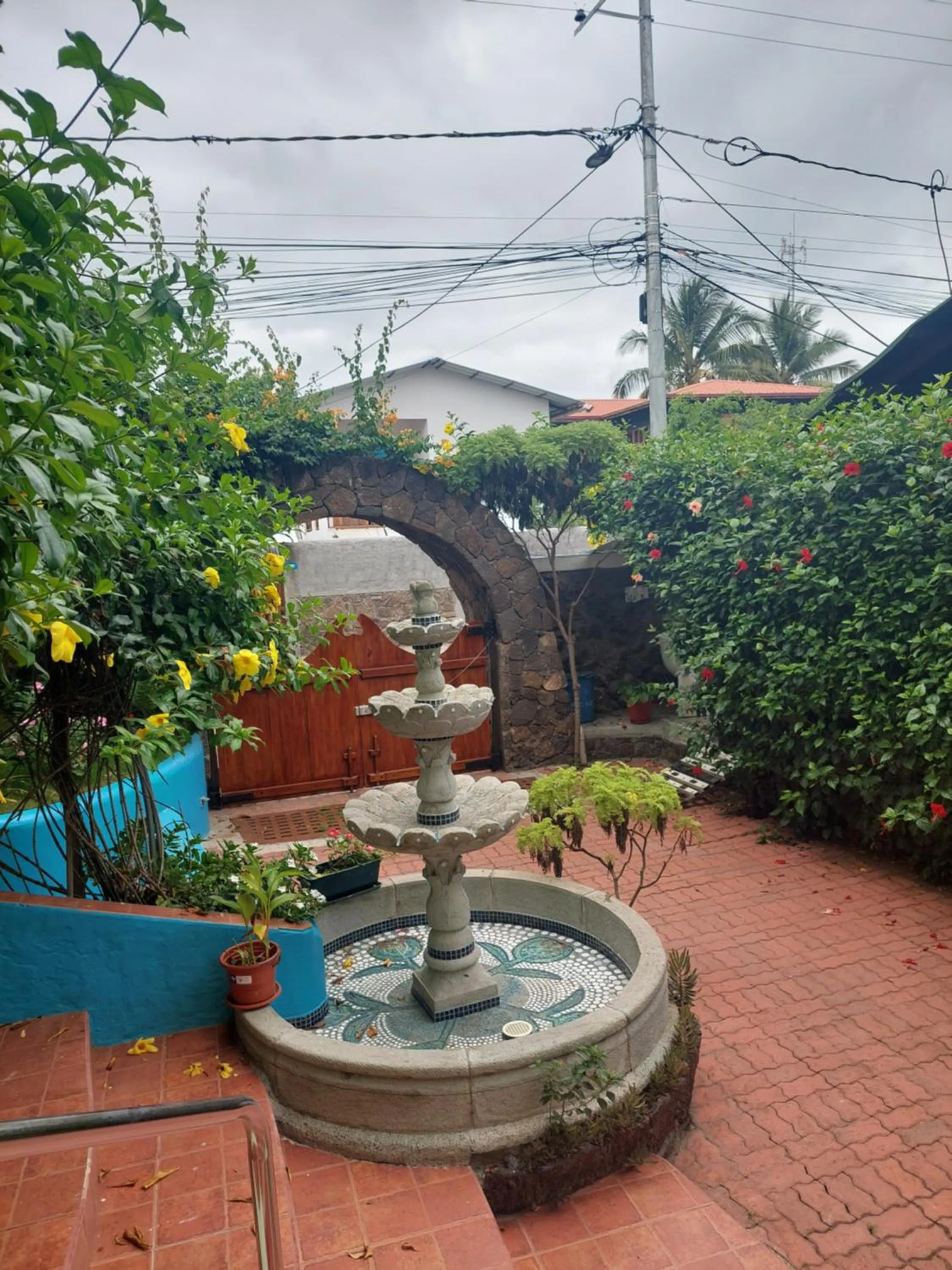 Garden in Hostal Casa Edén