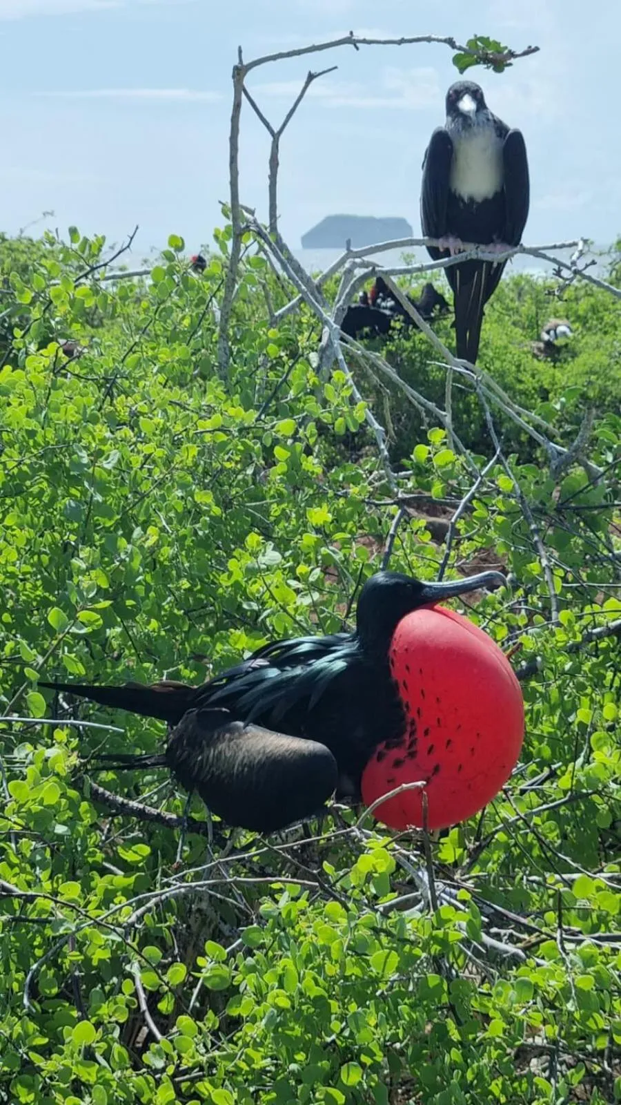Natural landscape in Hostal Casa Edén