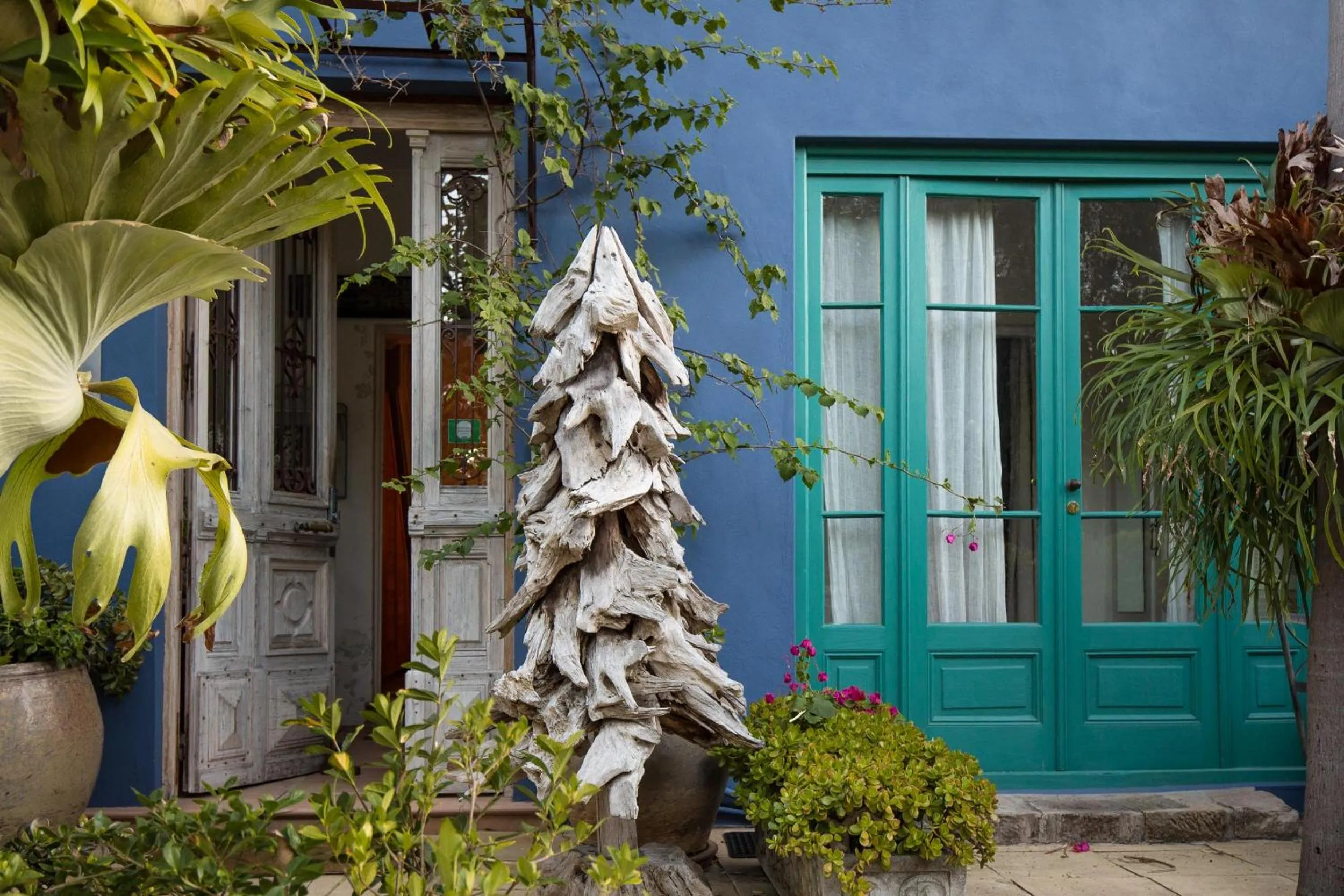 Facade/entrance in Bondi Beach House