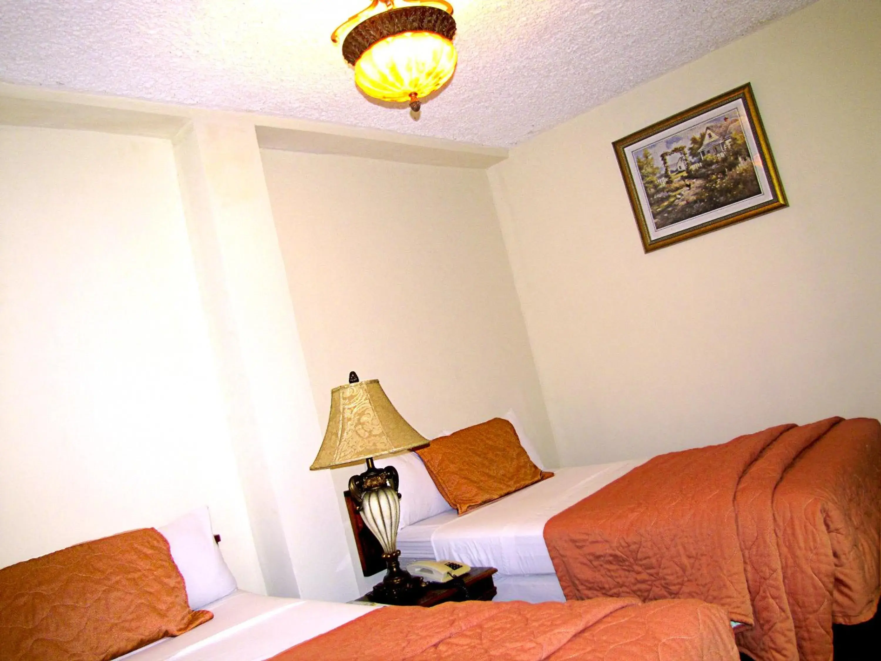 Standard Room - single occupancy in Hotel Tropico Inn Standard Room - single occupancy in Hotel Tropico Inn