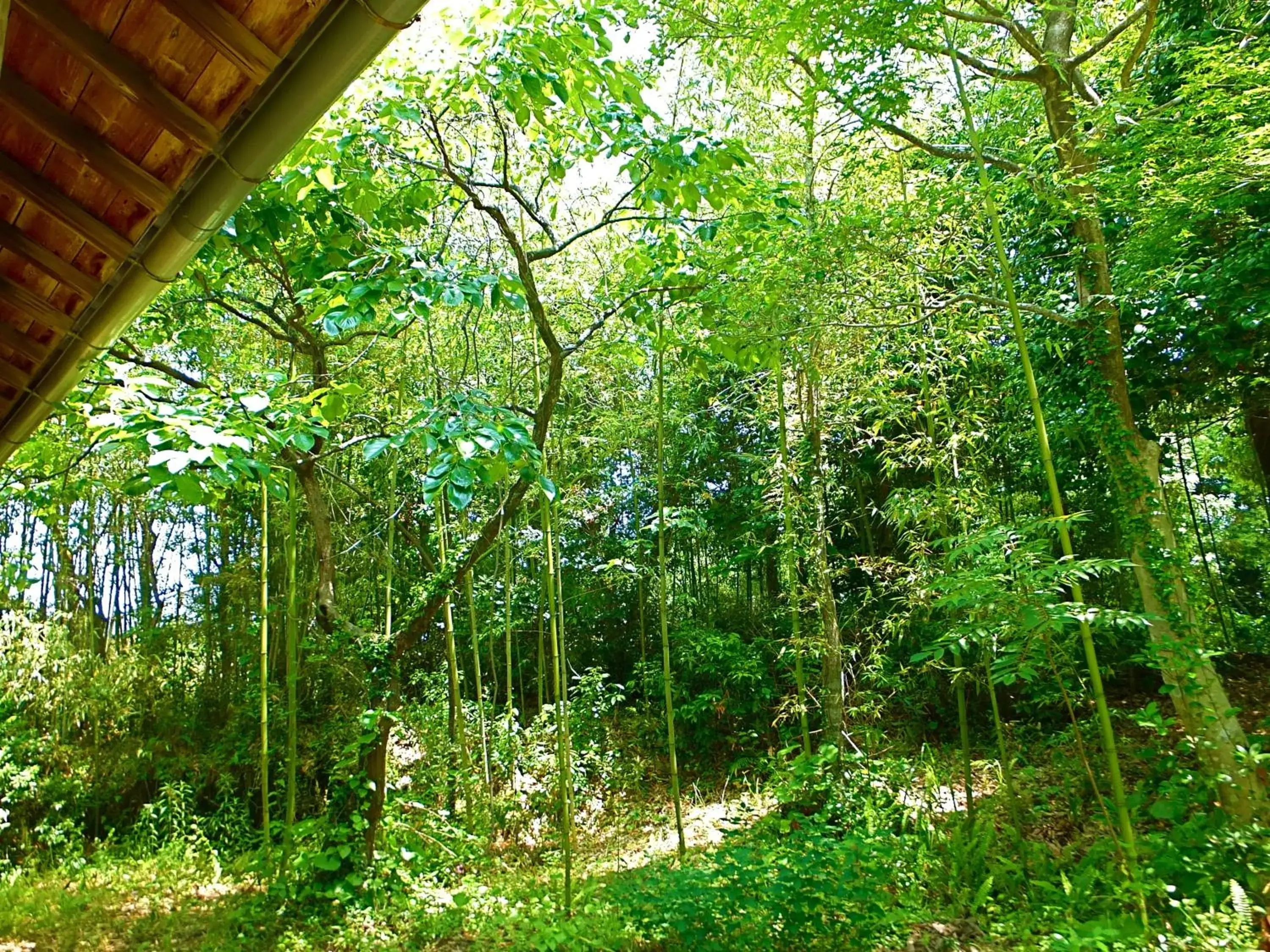 View (from property/room) in Kominka Sharehouse Hooju View (from property/room) in Kominka Sharehouse Hooju