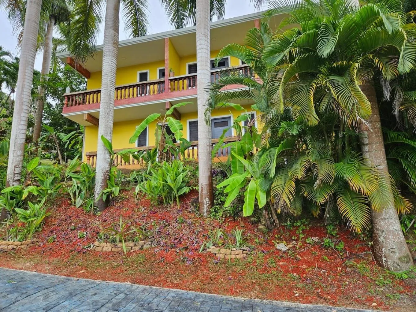 Property building in El Oasis Hotel