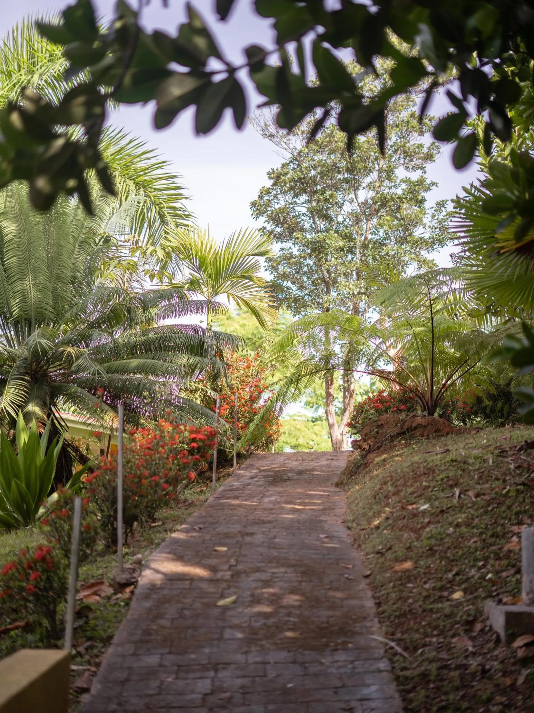 Natural landscape in El Oasis Hotel