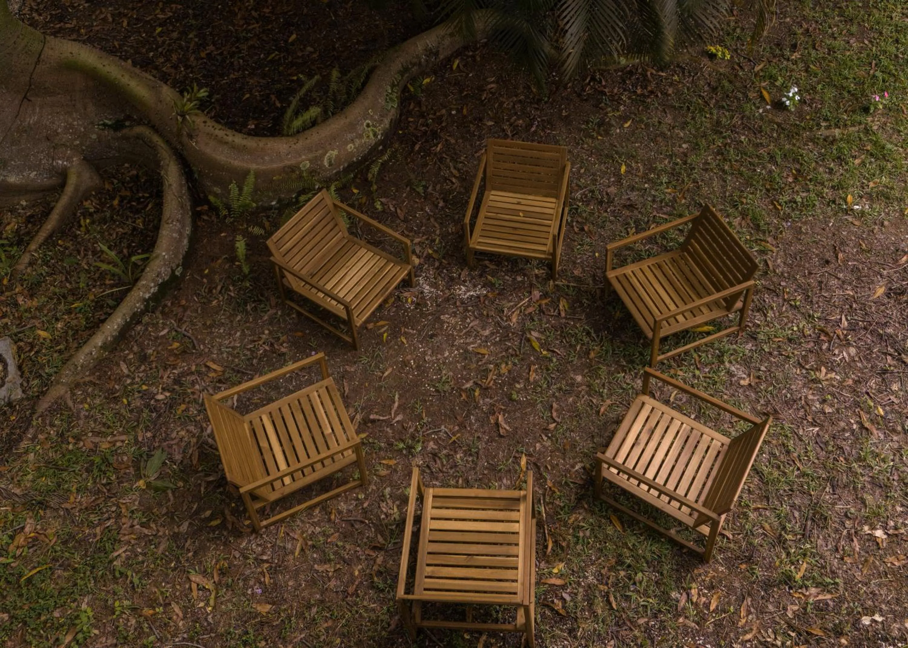 Garden view in El Oasis Hotel