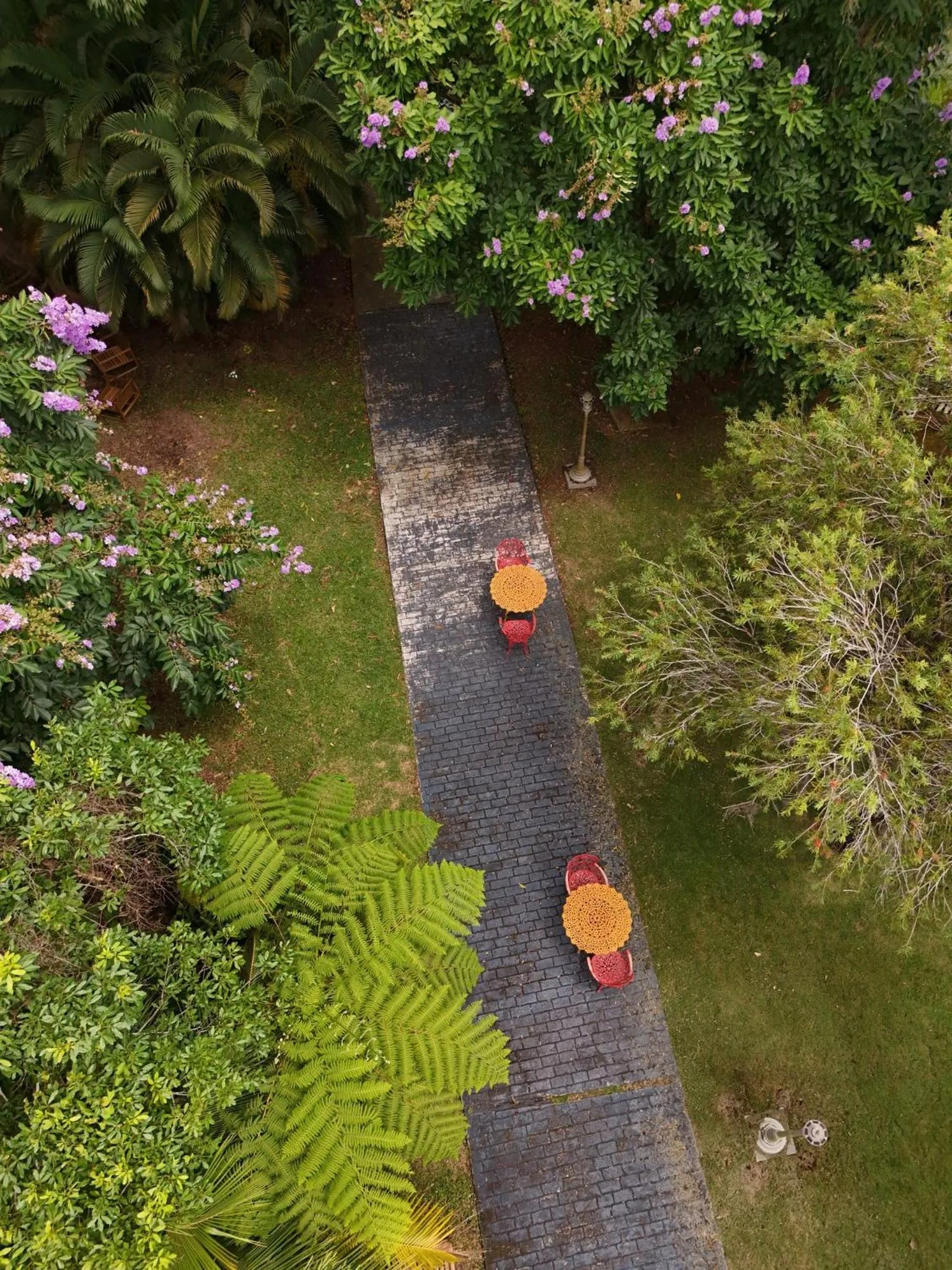 Garden view in El Oasis Hotel