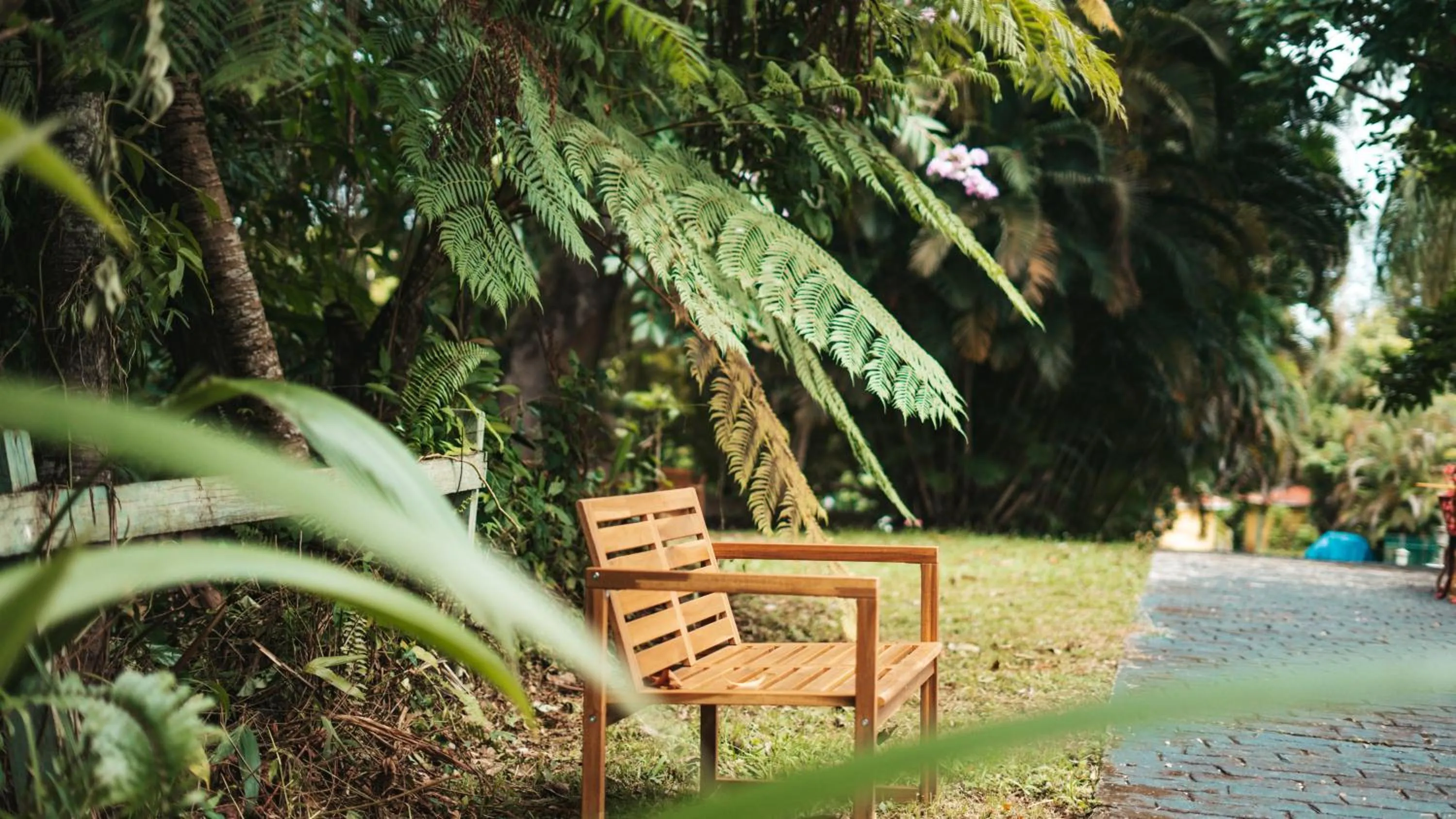 Spring in El Oasis Hotel