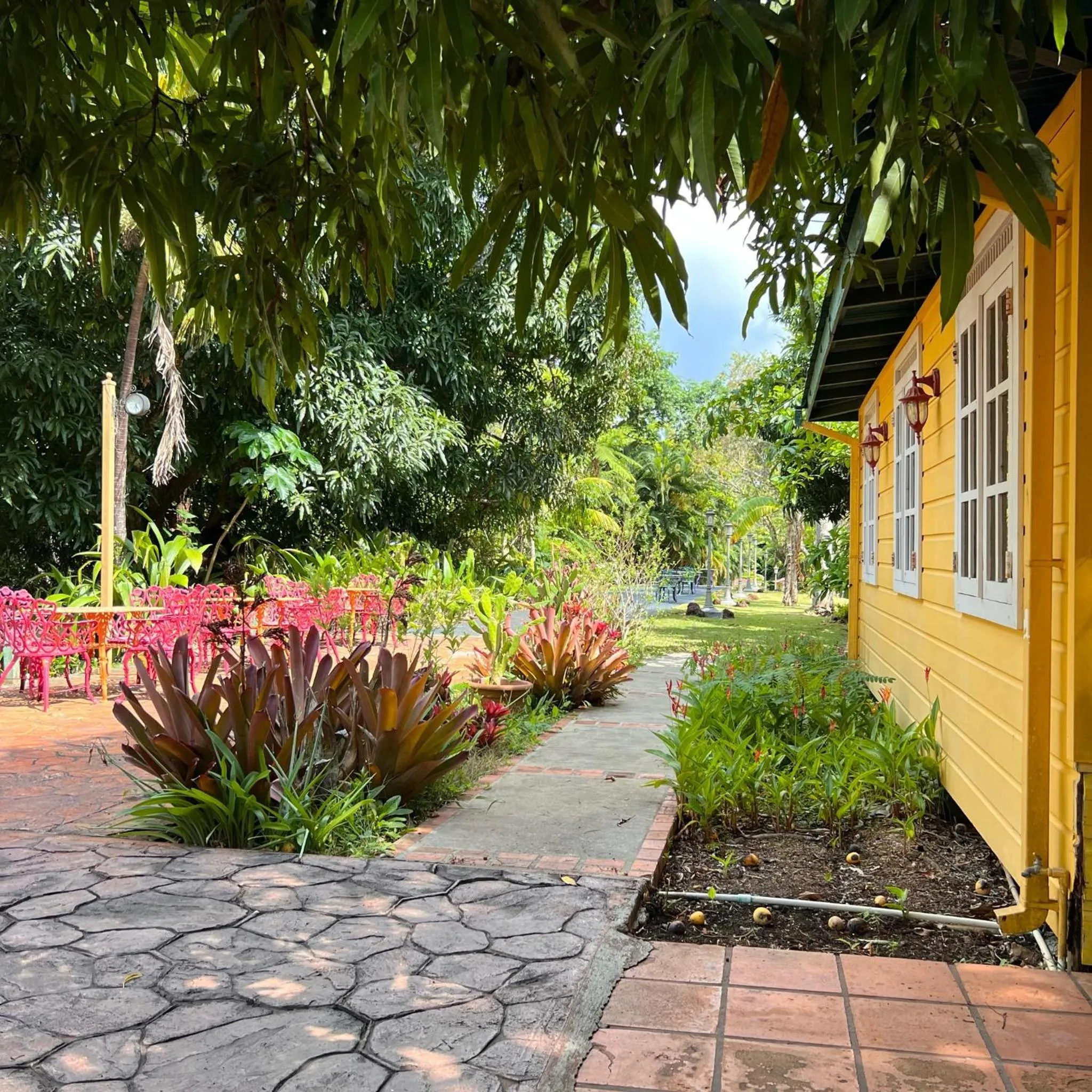 Garden view in El Oasis Hotel