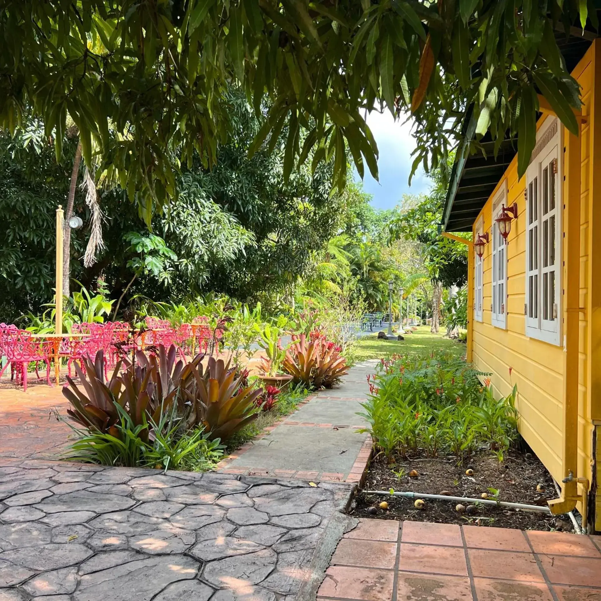 Garden view in El Oasis Hotel Garden view in El Oasis Hotel
