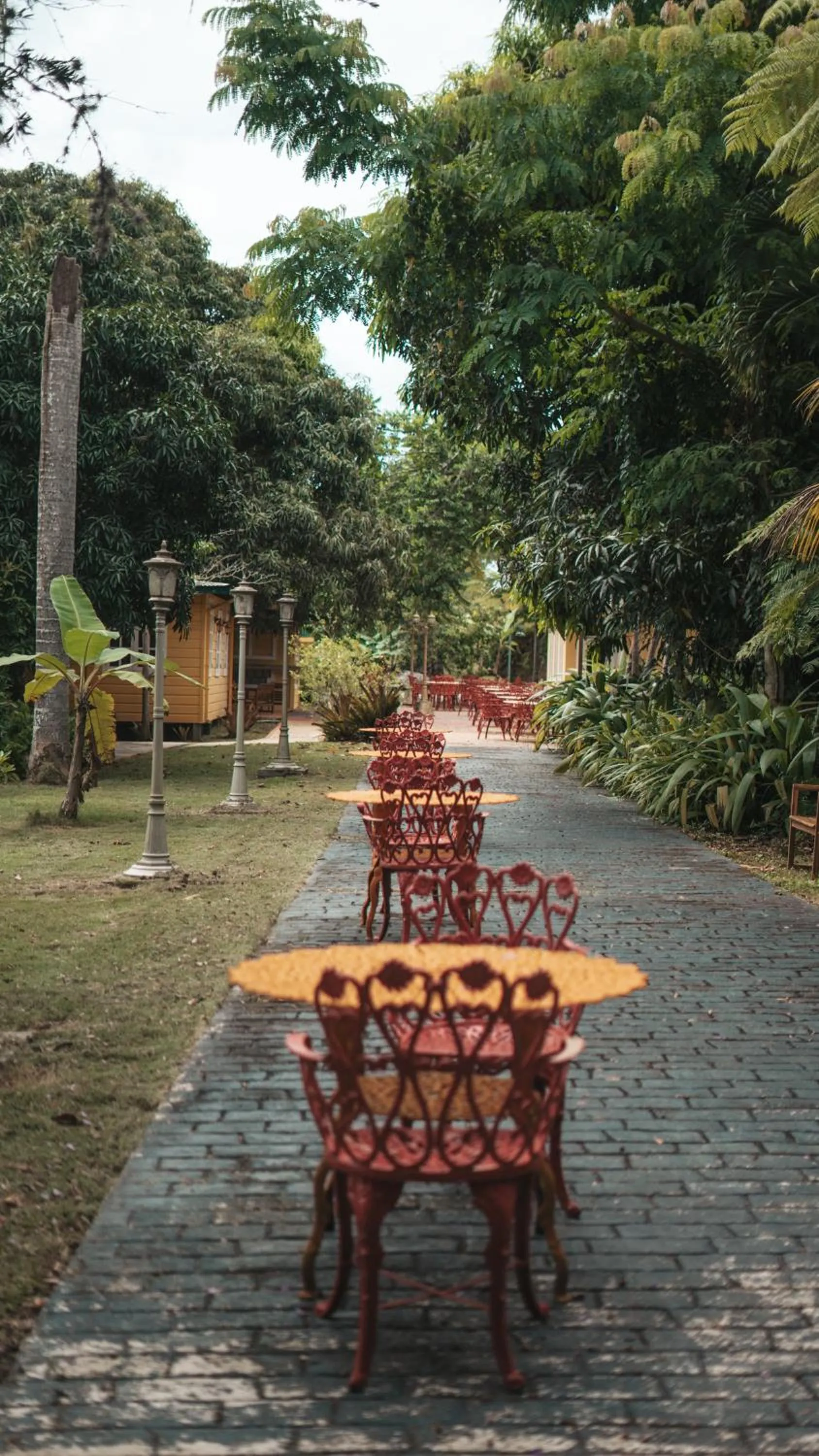 Dining area in El Oasis Hotel