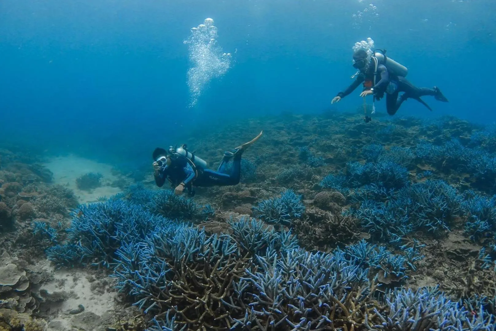Diving in Deep Blue 23 B&B