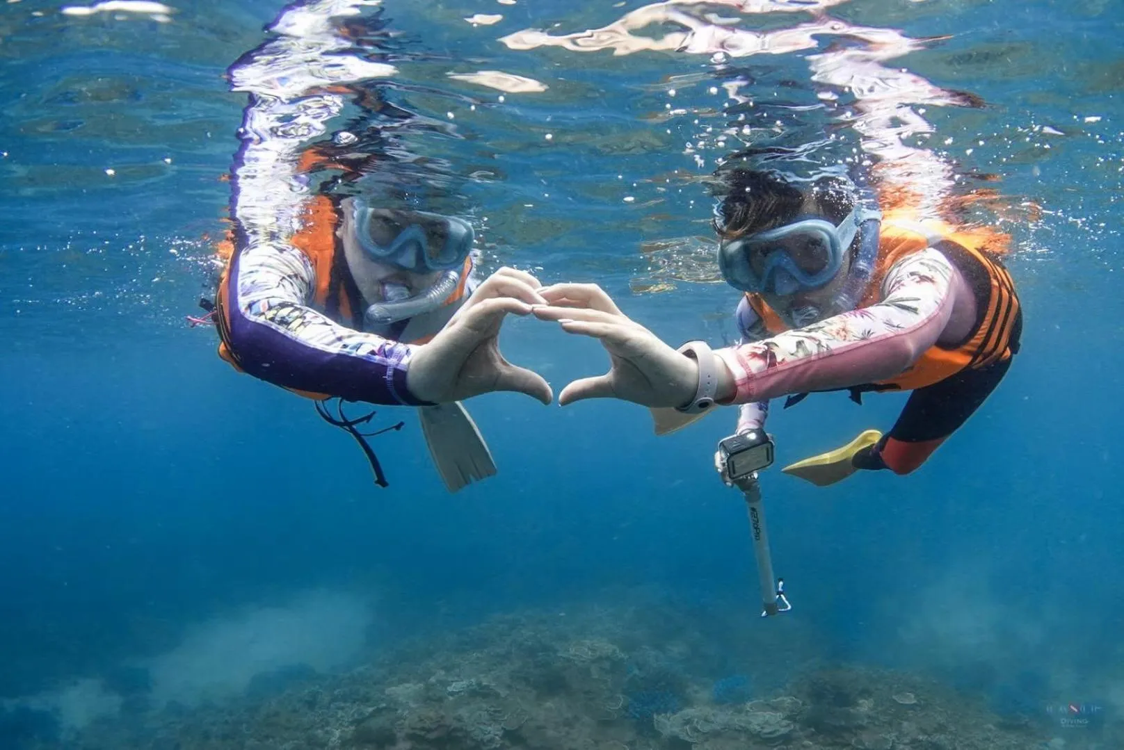 Snorkeling in Deep Blue 23 B&B