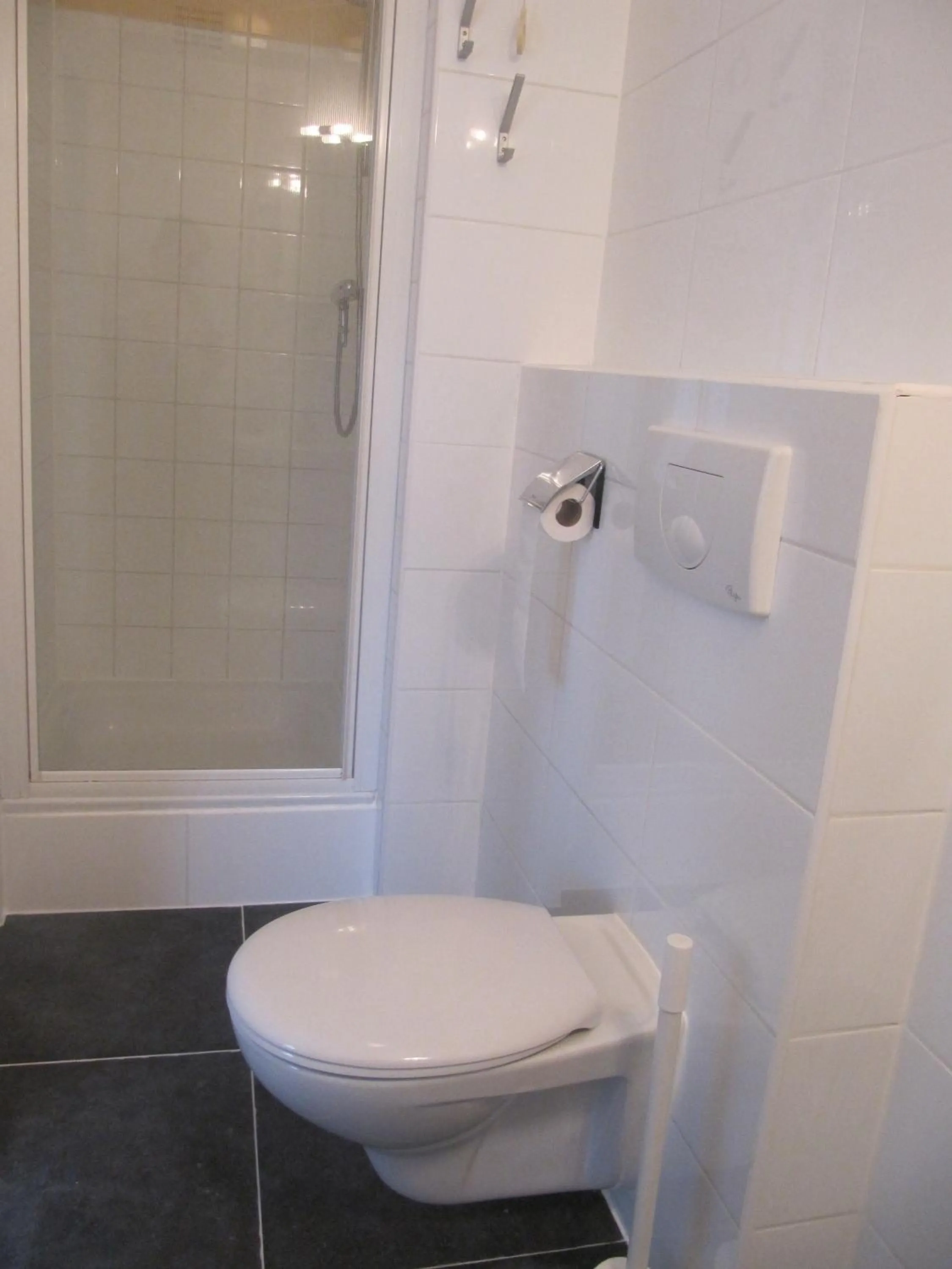 Toilet in Hotel Anna
