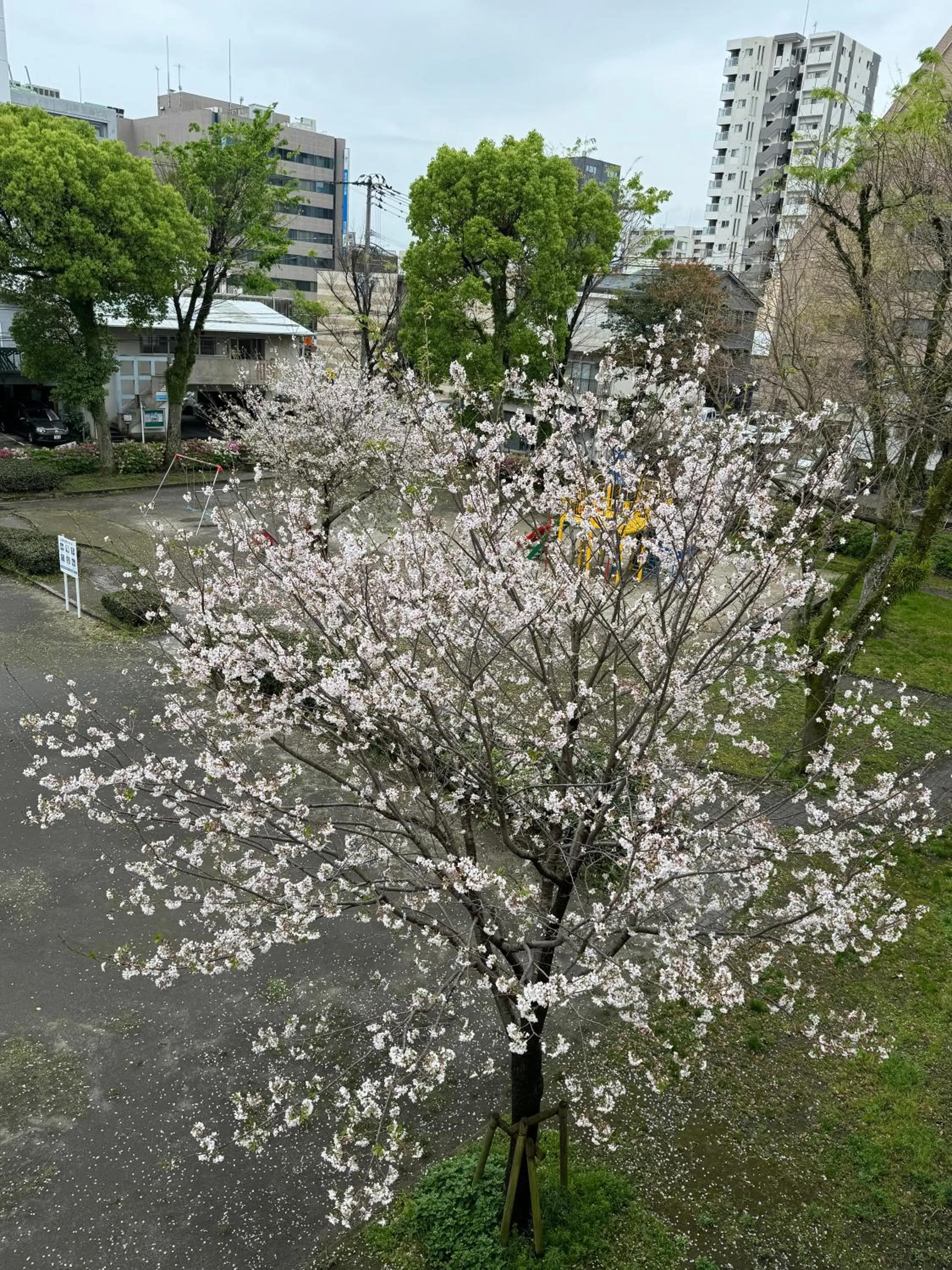 Hotel Ninestates Kagoshima