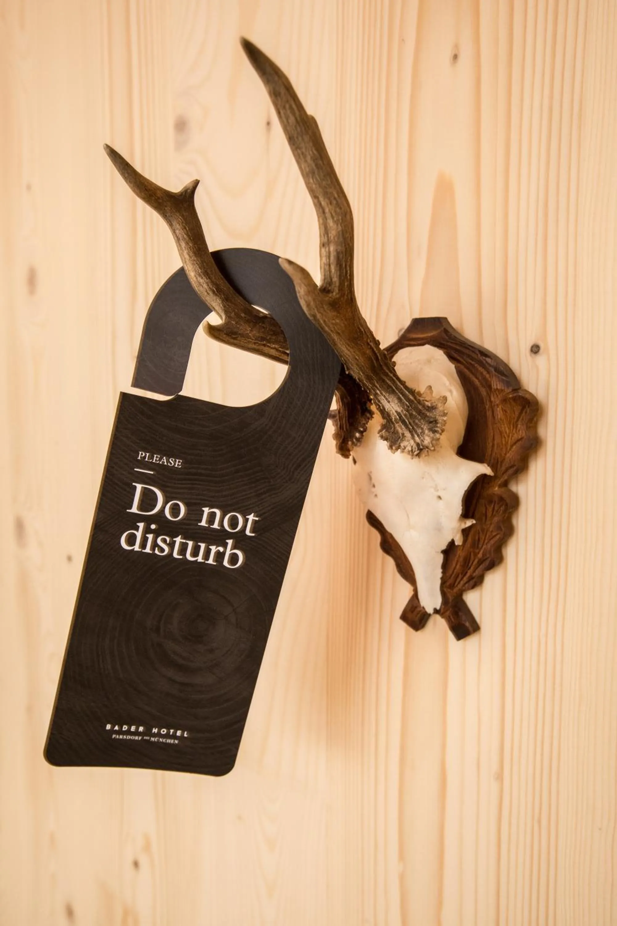 Decorative detail in Bader Hotel