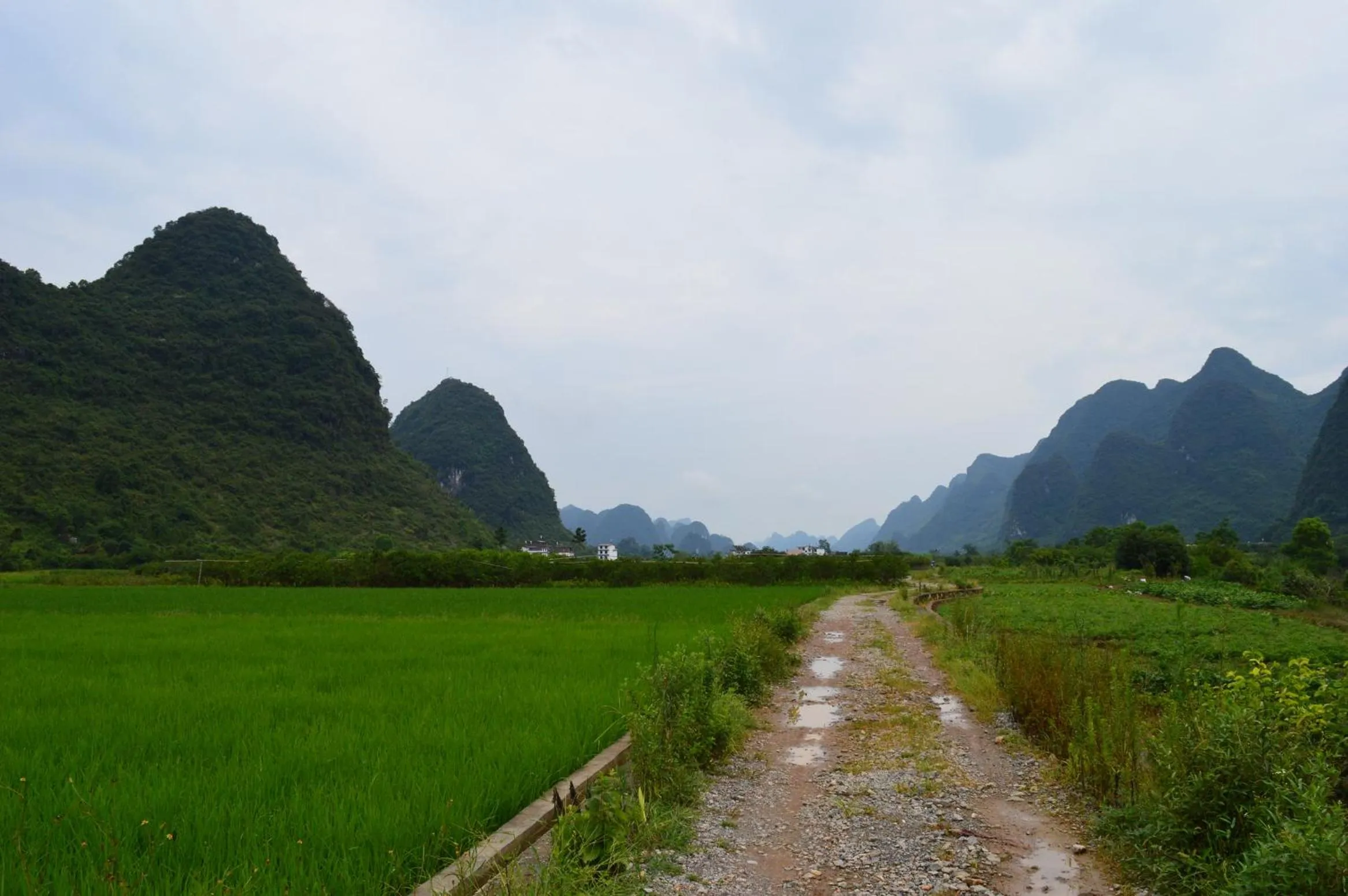 Summer in Yangshuo Loong Old House