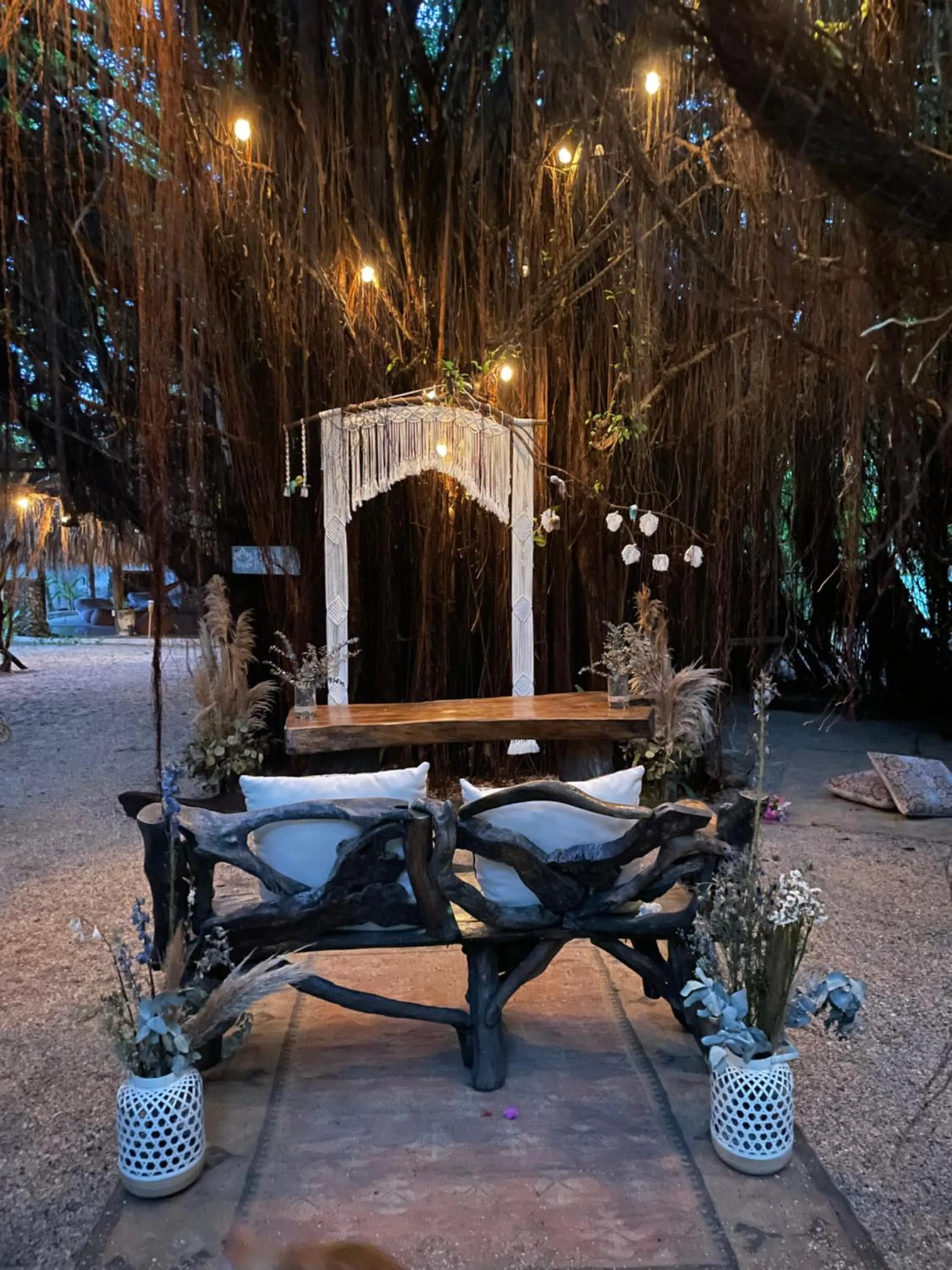 Garden in Namaste Beach Club & Hotel